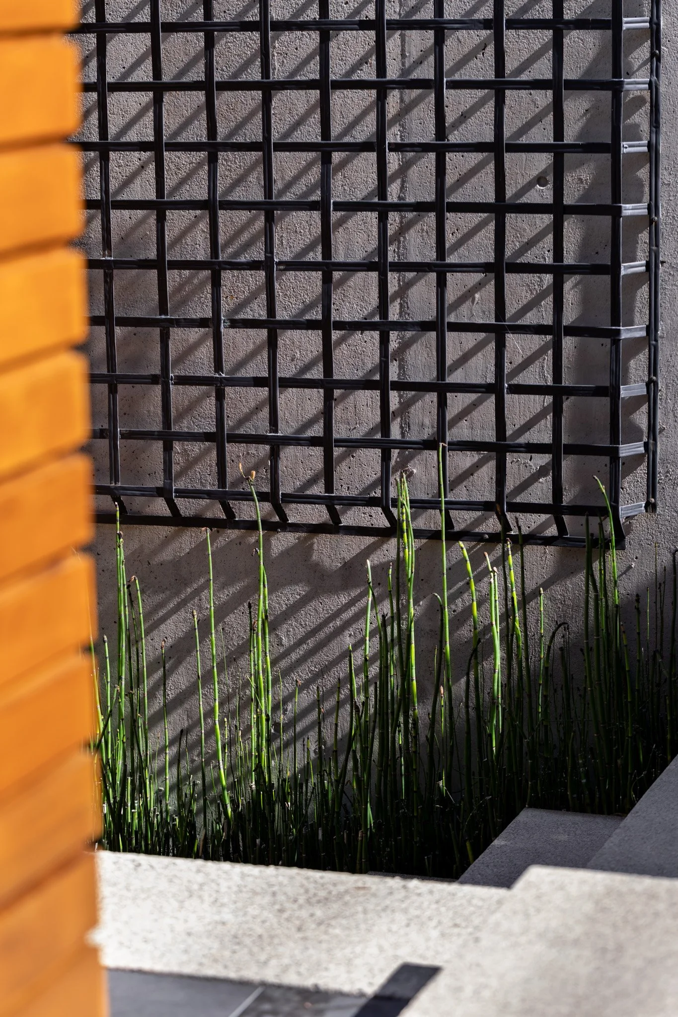 SOLscapes-30.jpg