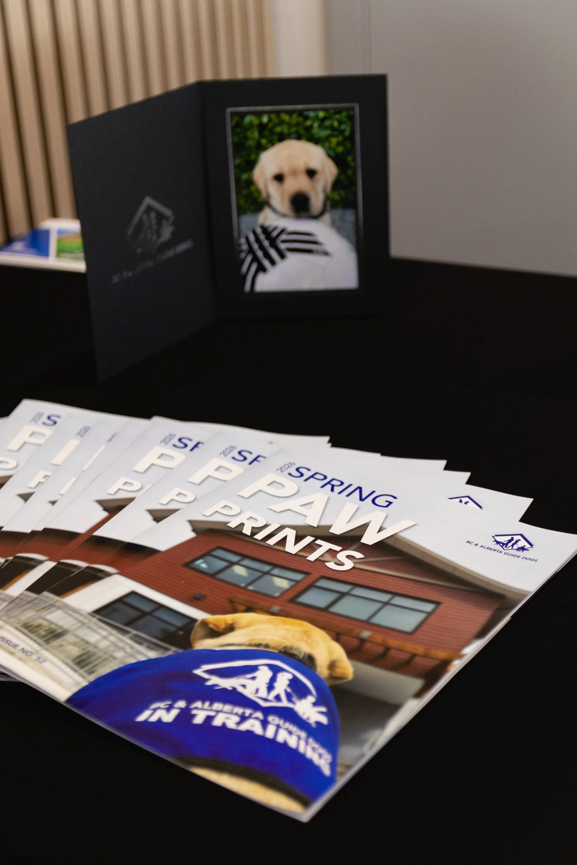 BC-Alberta Guide Dogs-44.jpg