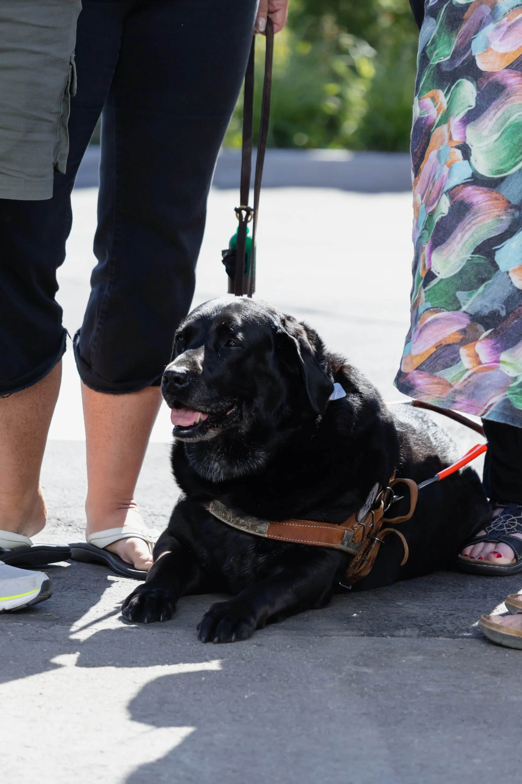 BC-Alberta Guide Dogs-102.jpg