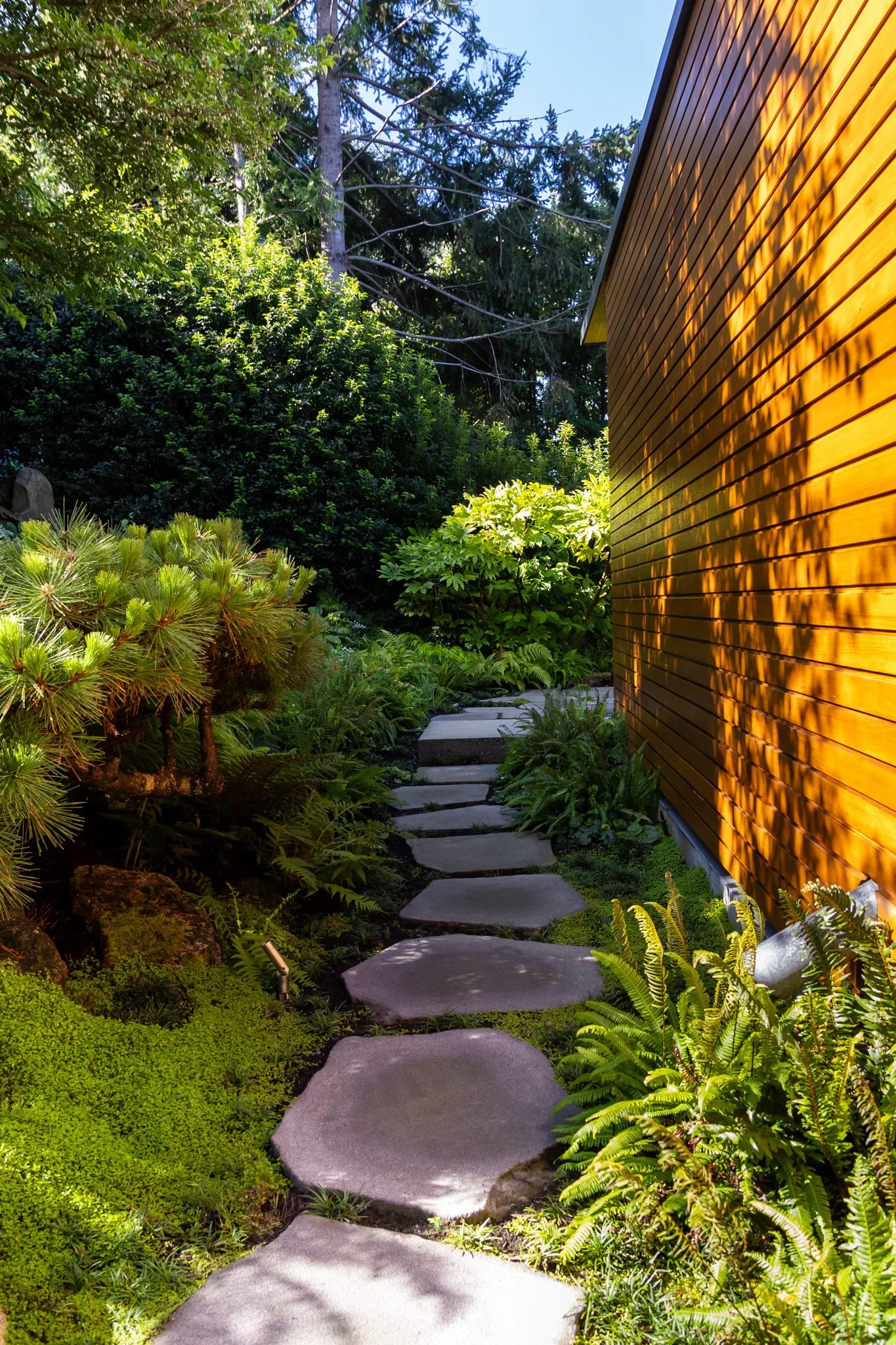 SOLscapes-41.jpg