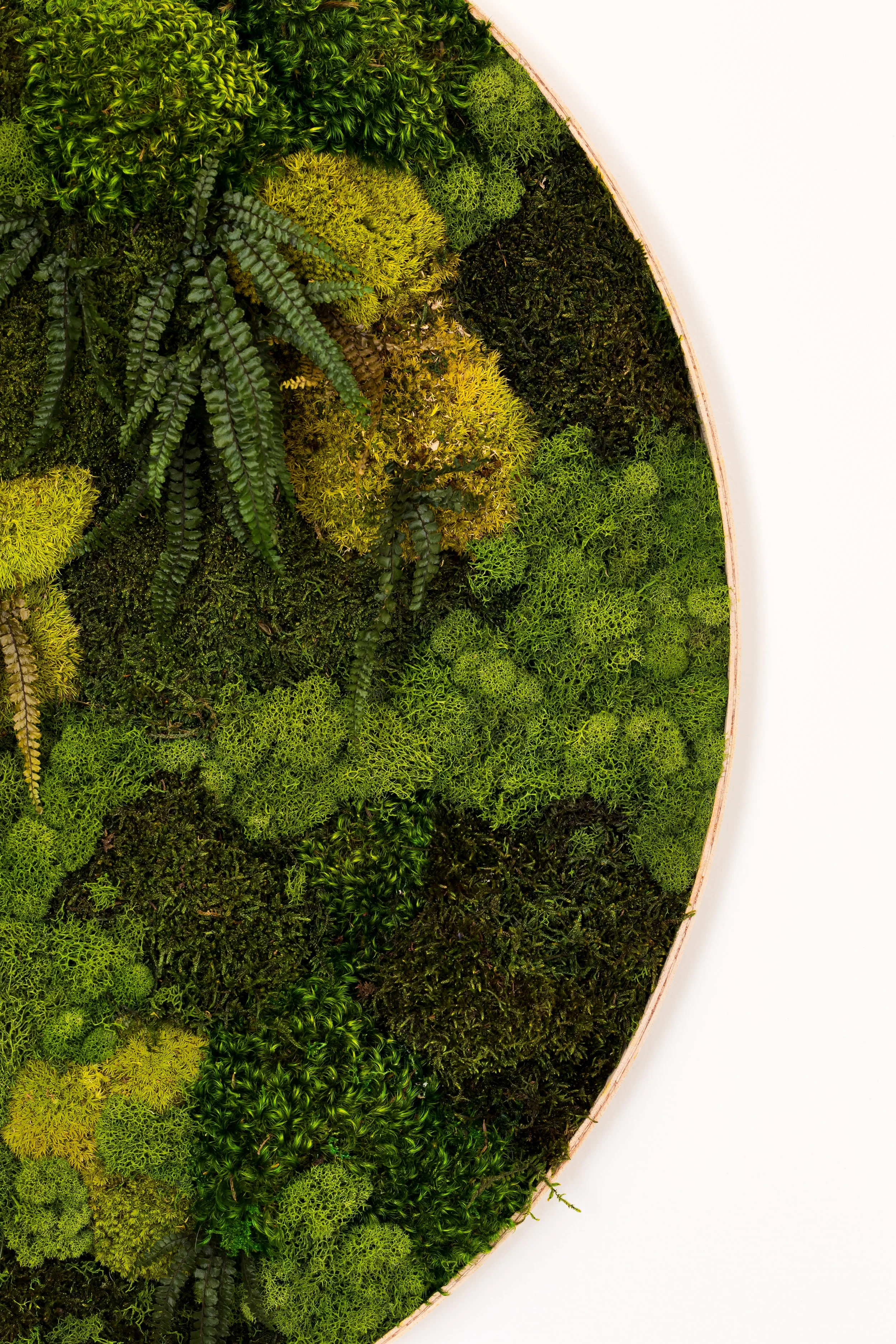 Silverspine Contracting, Location 4-26.jpg