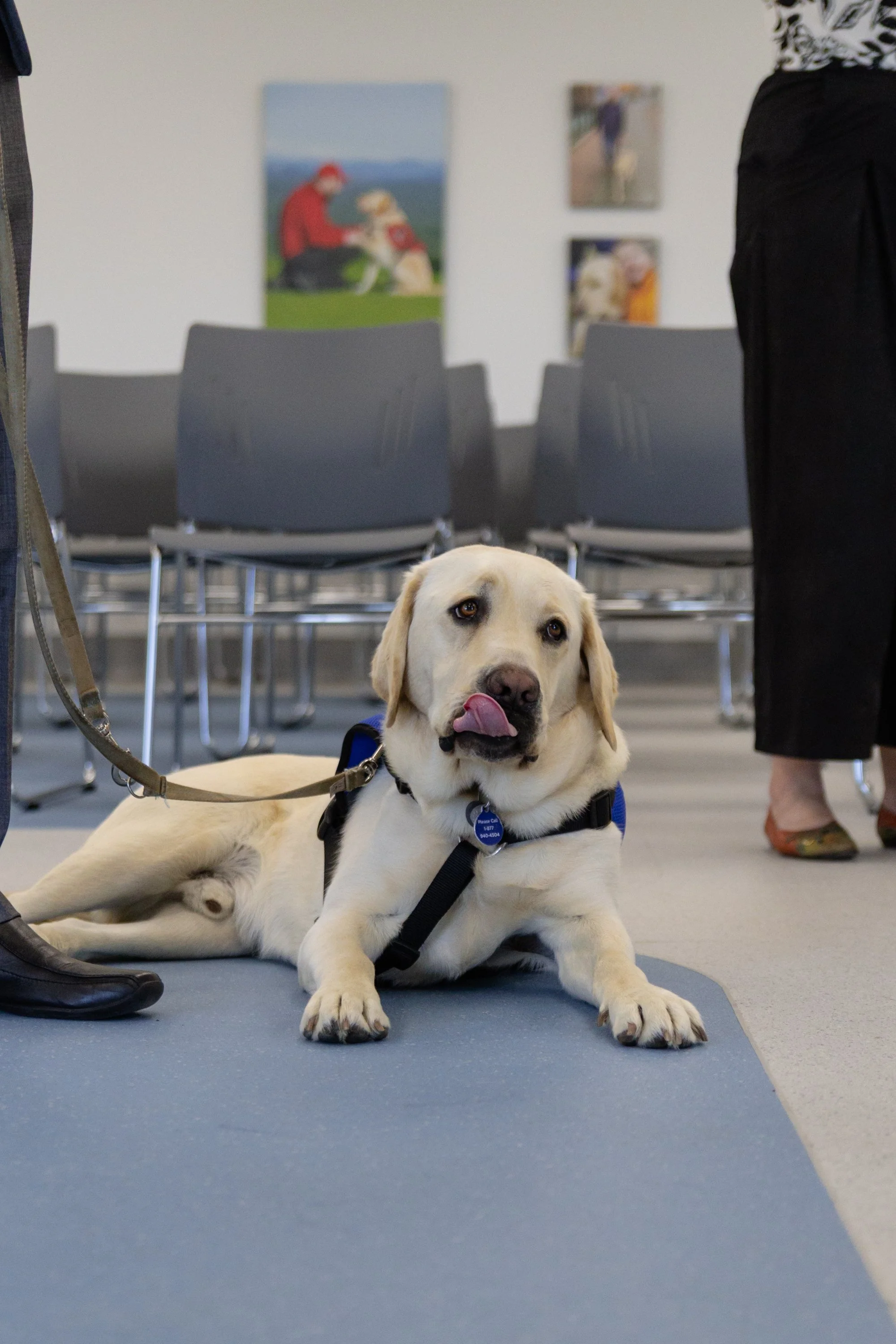 BC-Alberta Guide Dogs-51.jpg