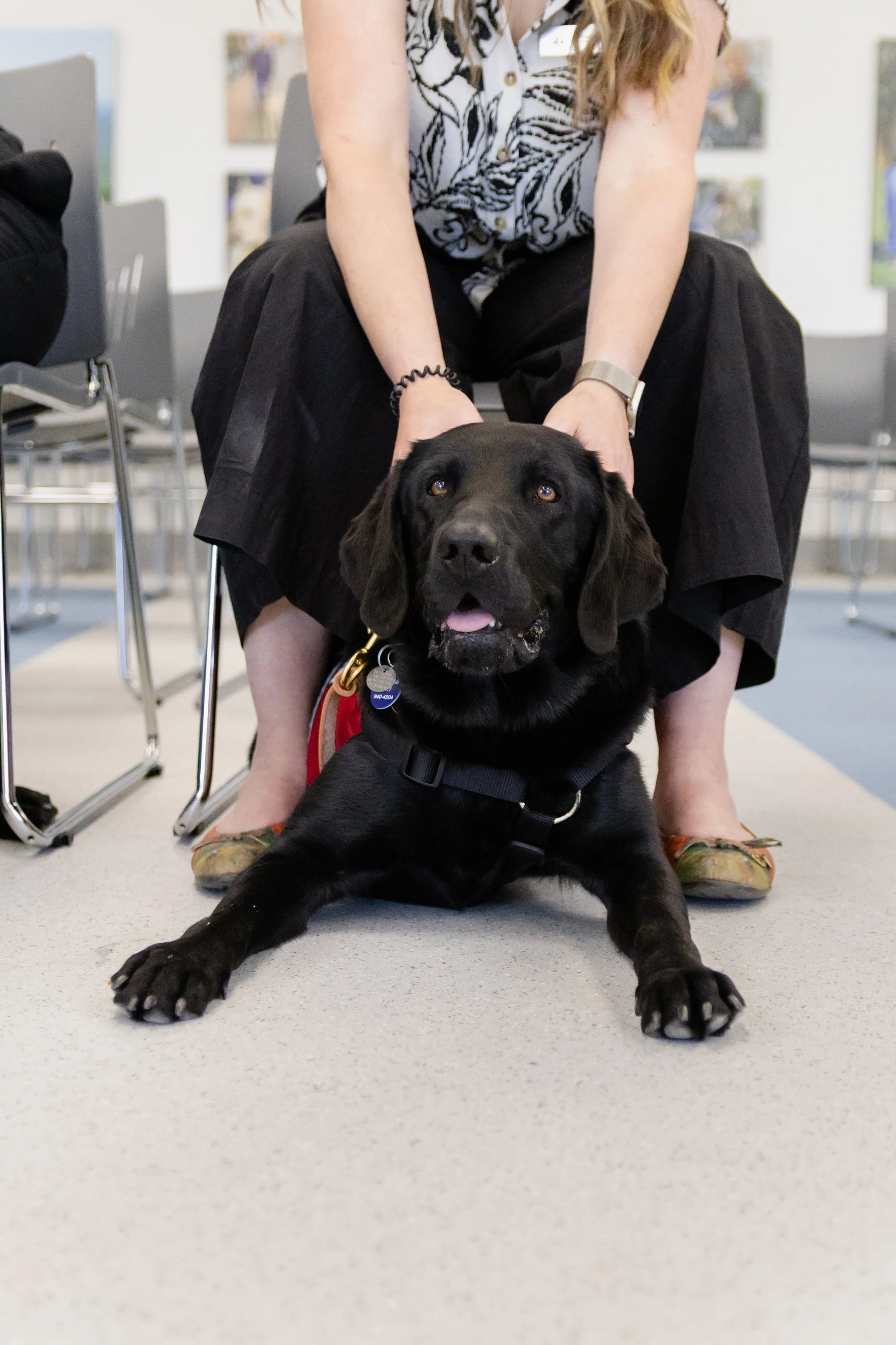 BC-Alberta Guide Dogs-65.jpg