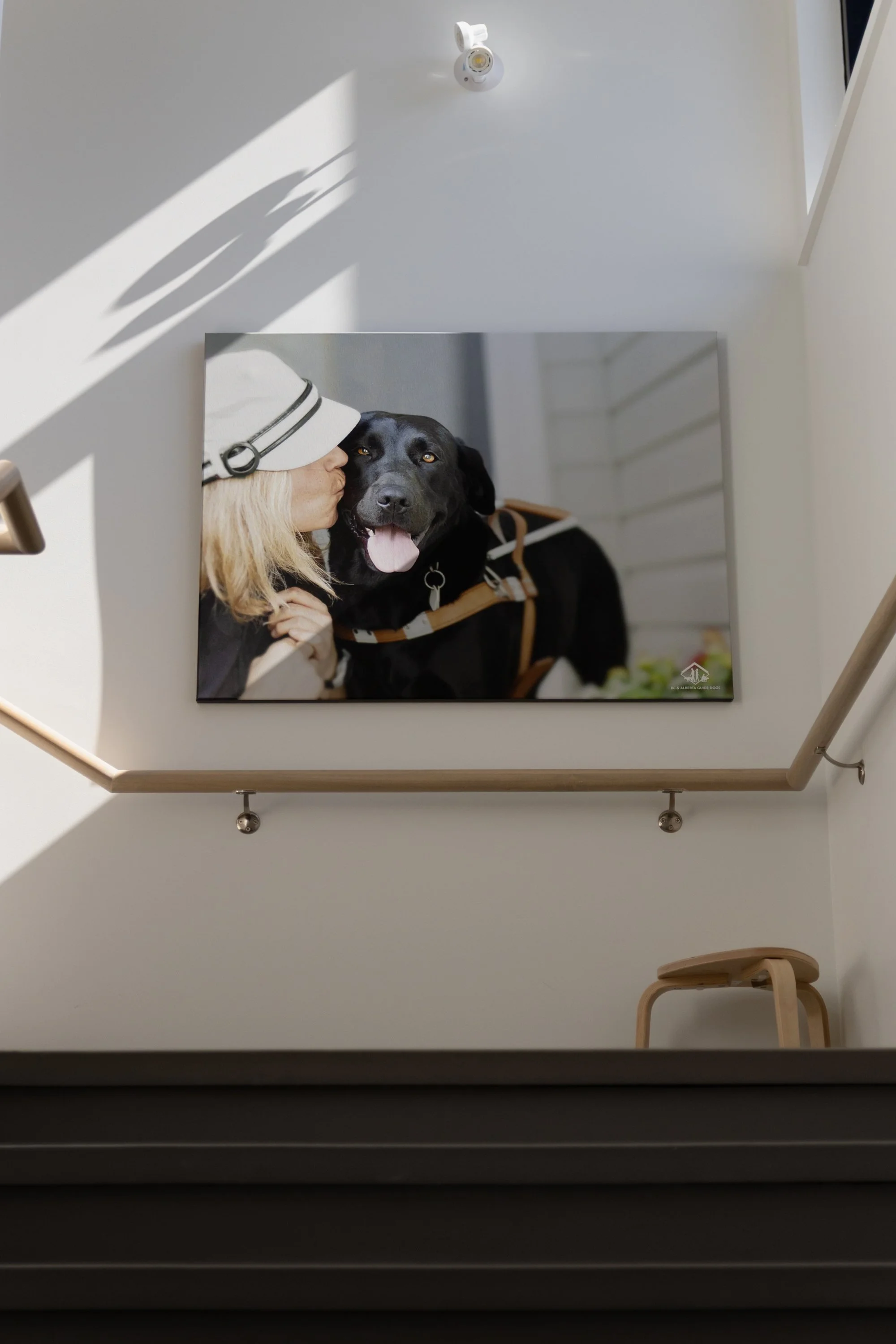 BC-Alberta Guide Dogs-61.jpg