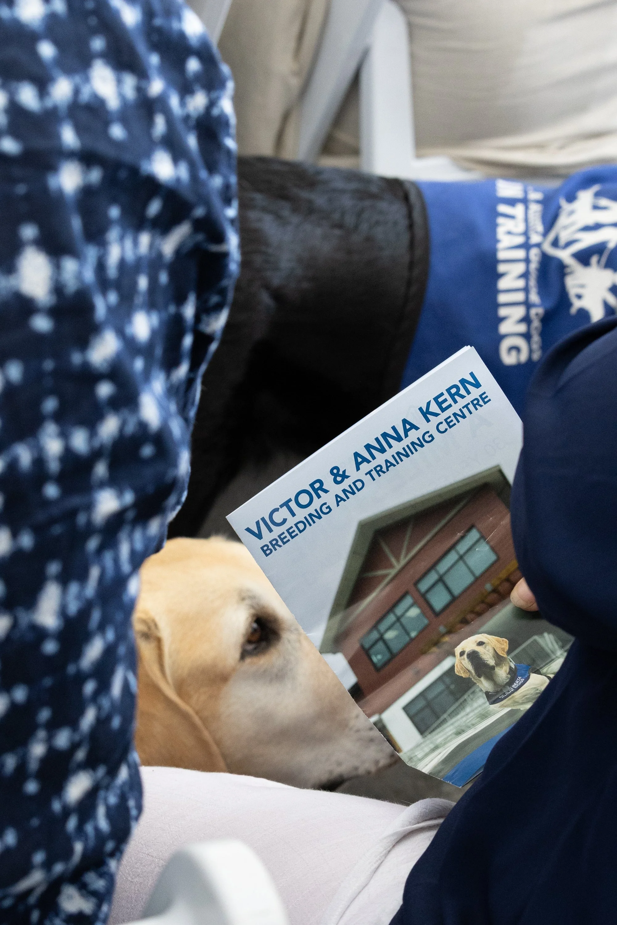 BC-Alberta Guide Dogs-199.jpg