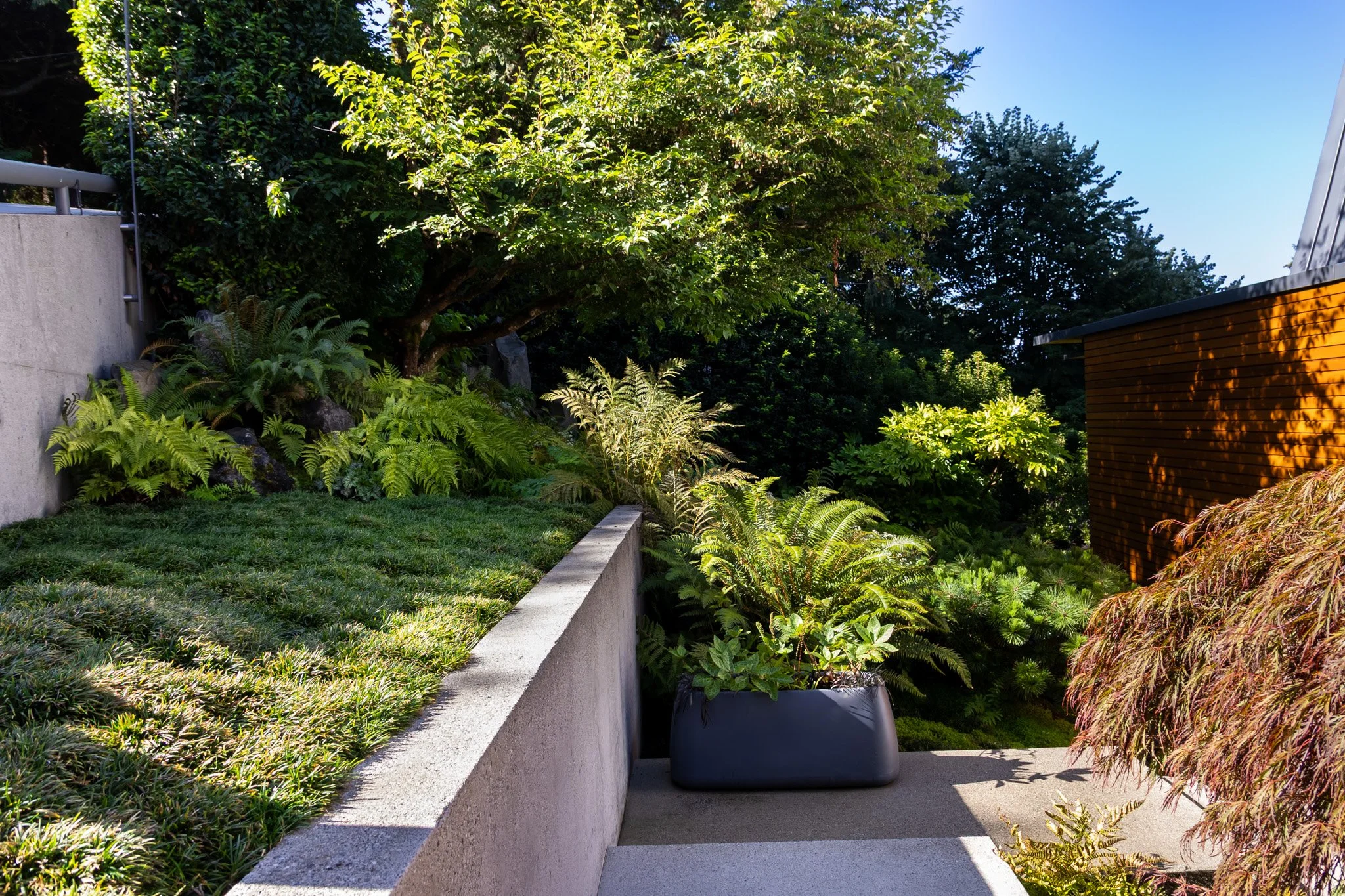 SOLscapes-40.jpg