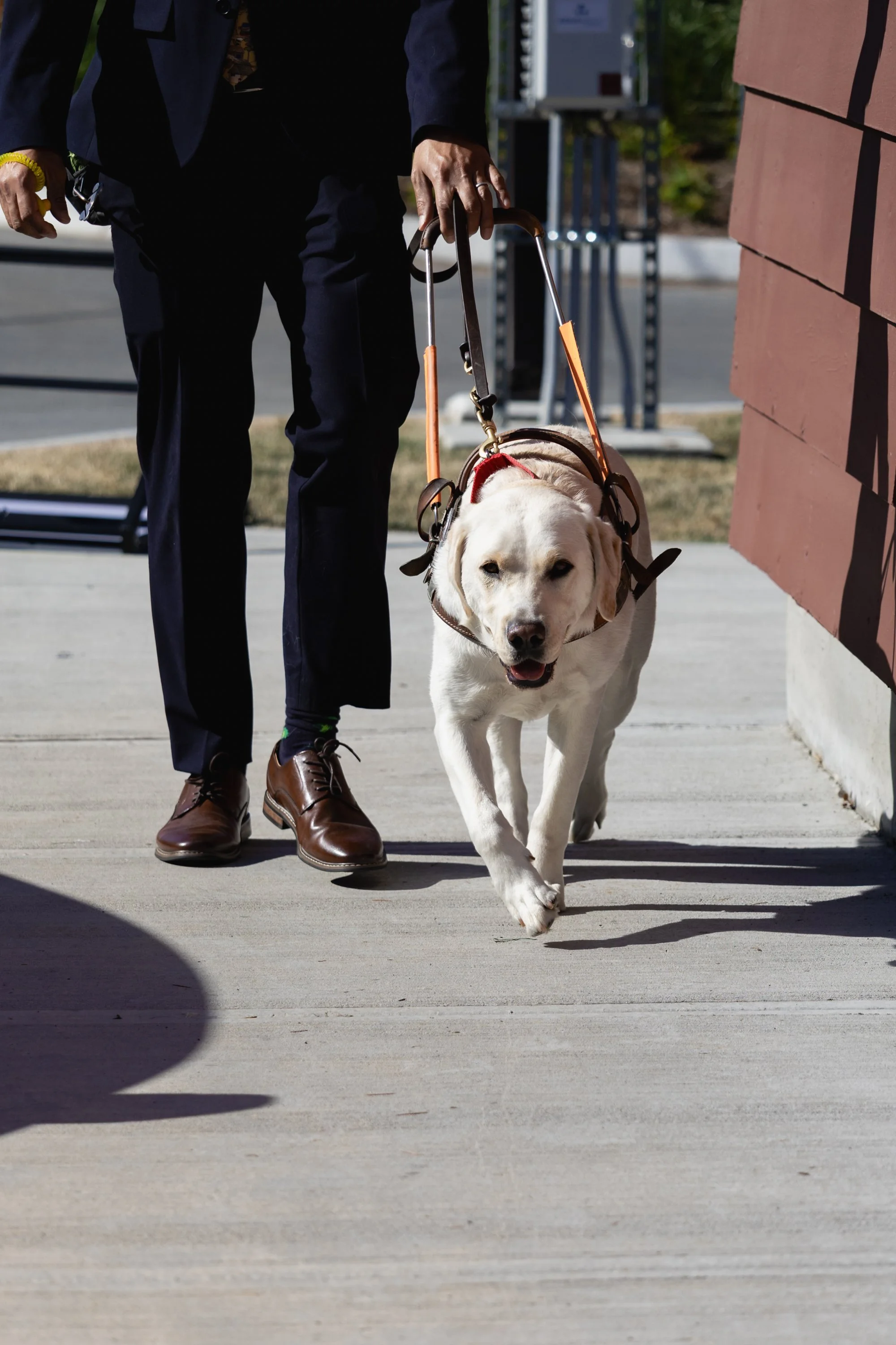 BC-Alberta Guide Dogs-40.jpg