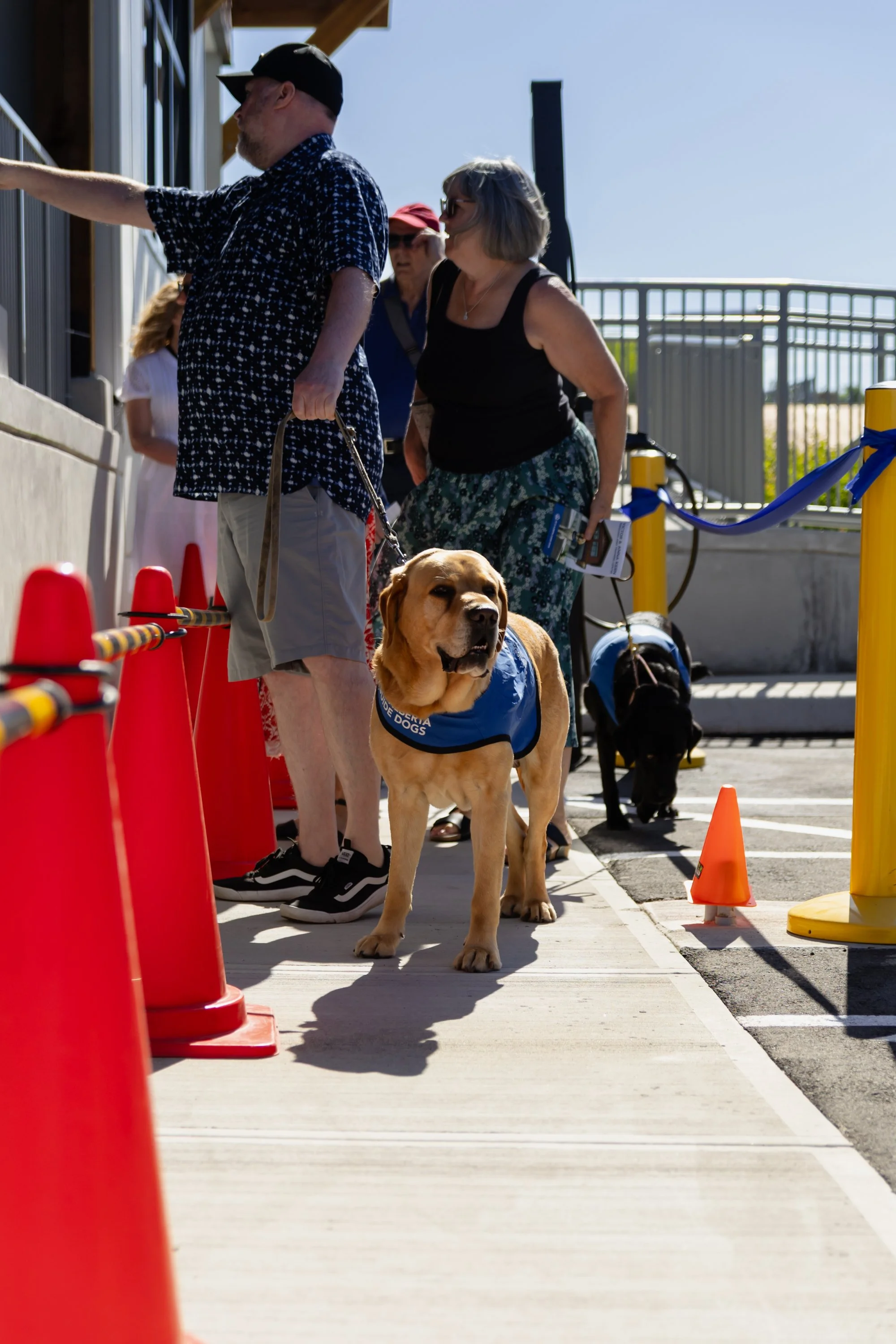 BC-Alberta Guide Dogs-78.jpg