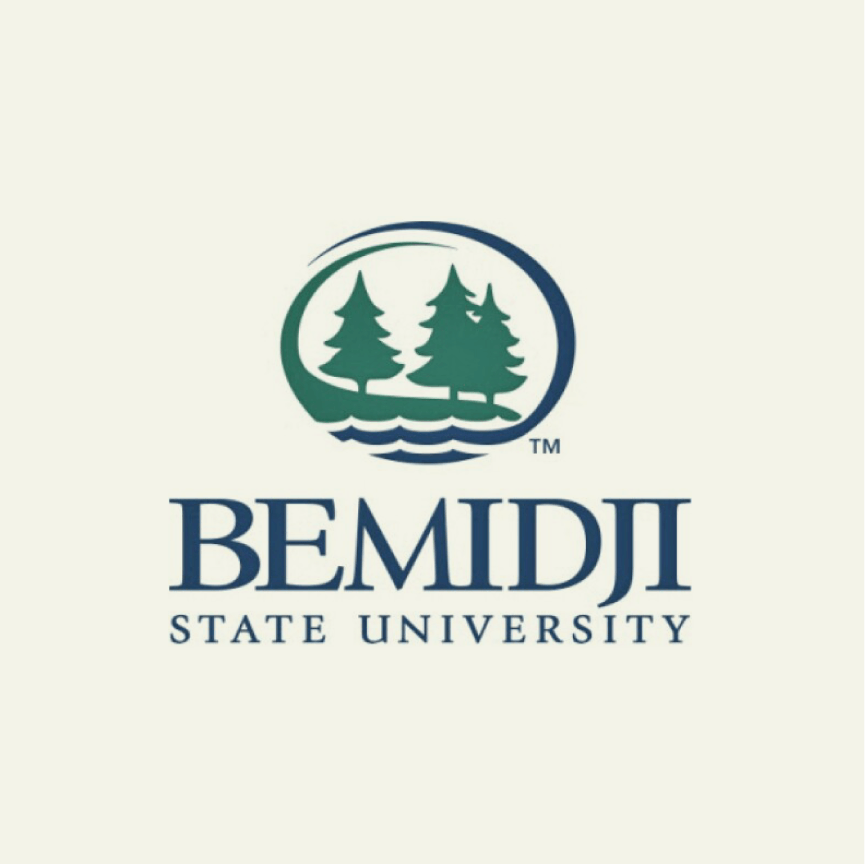 bemidji_state.png