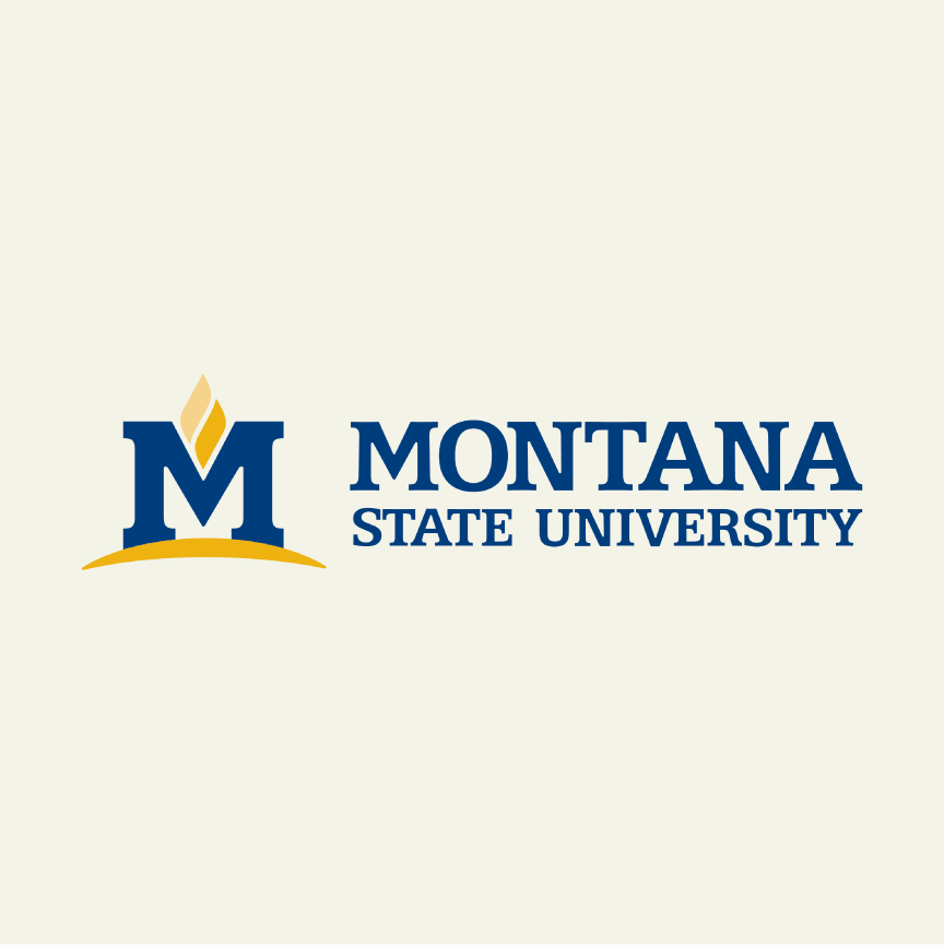 montana_state_university.png