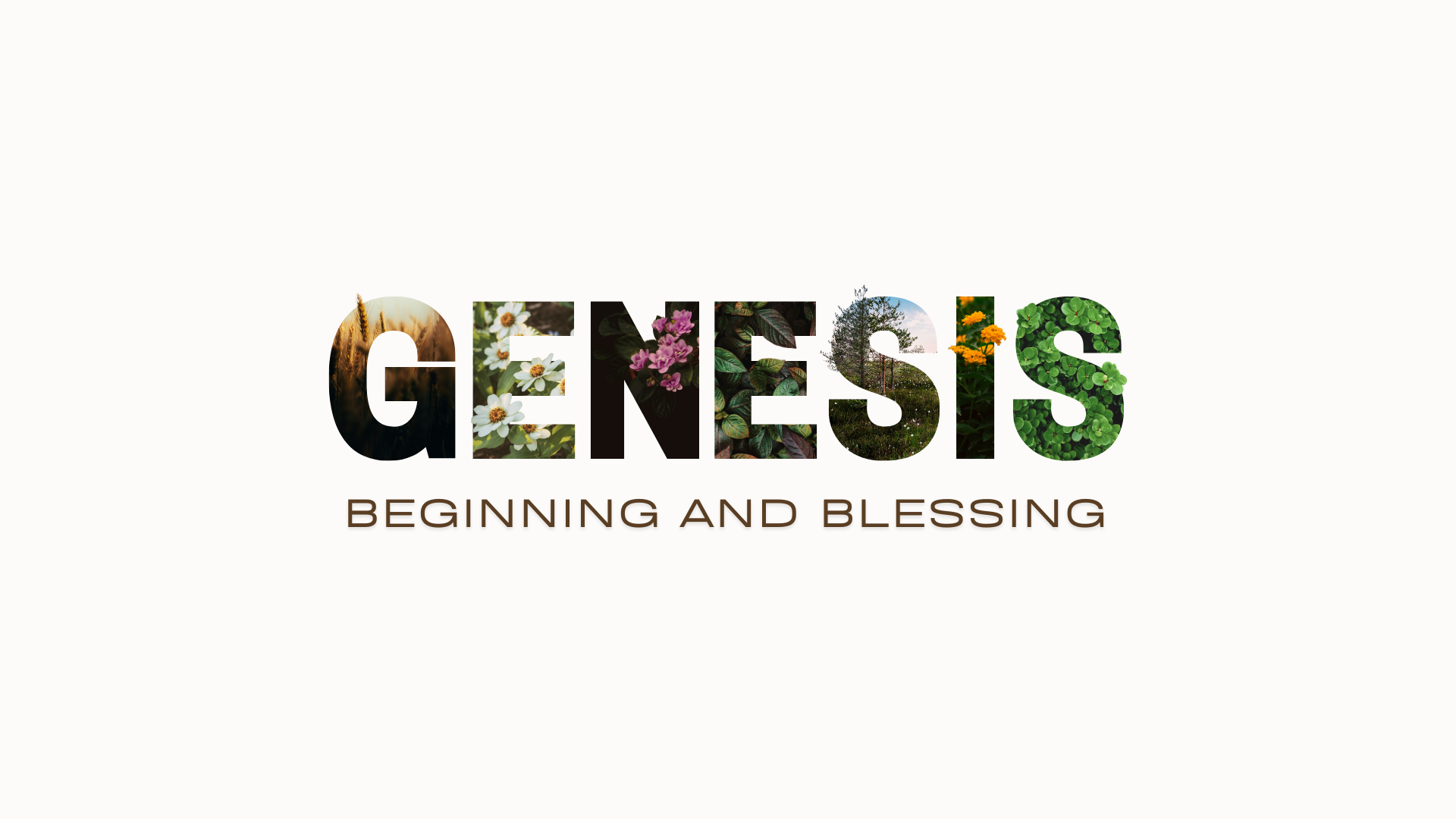 Responding to the Sermon on Genesis 4