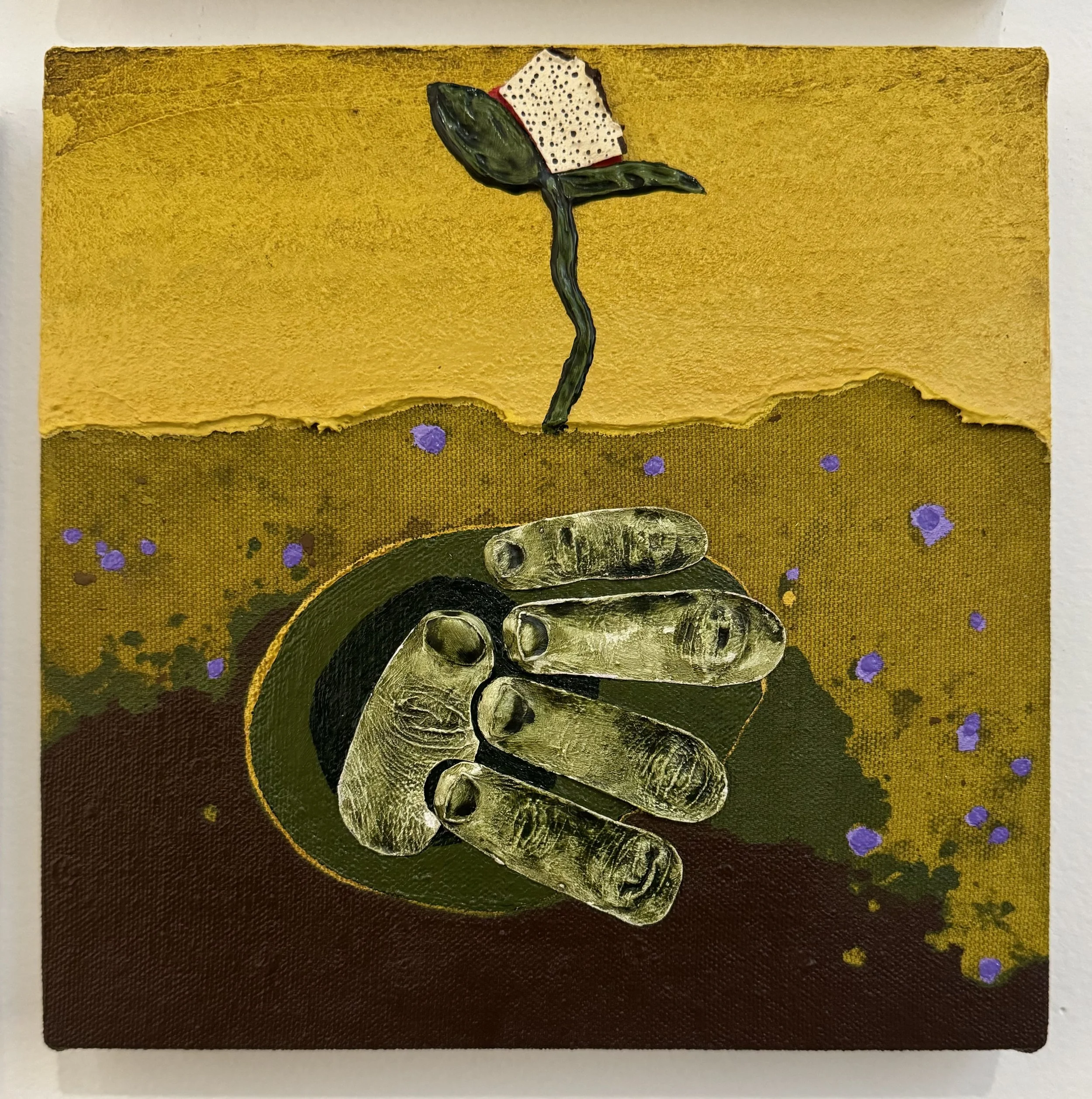 Good or bad growth?, 8x8, 2024
