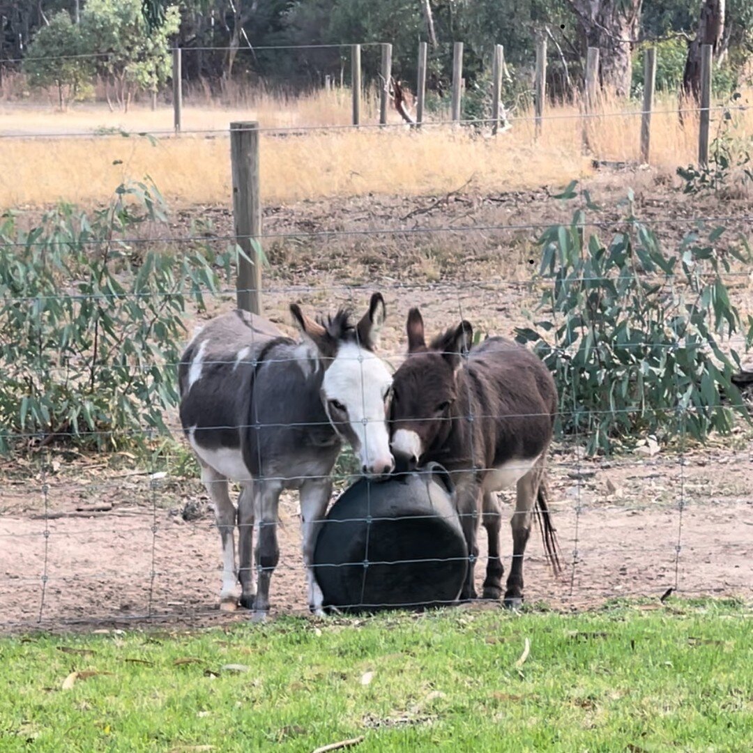 Purchase and 6 pack in the month of April &amp; save 15% using code EASTERWINE at checkout