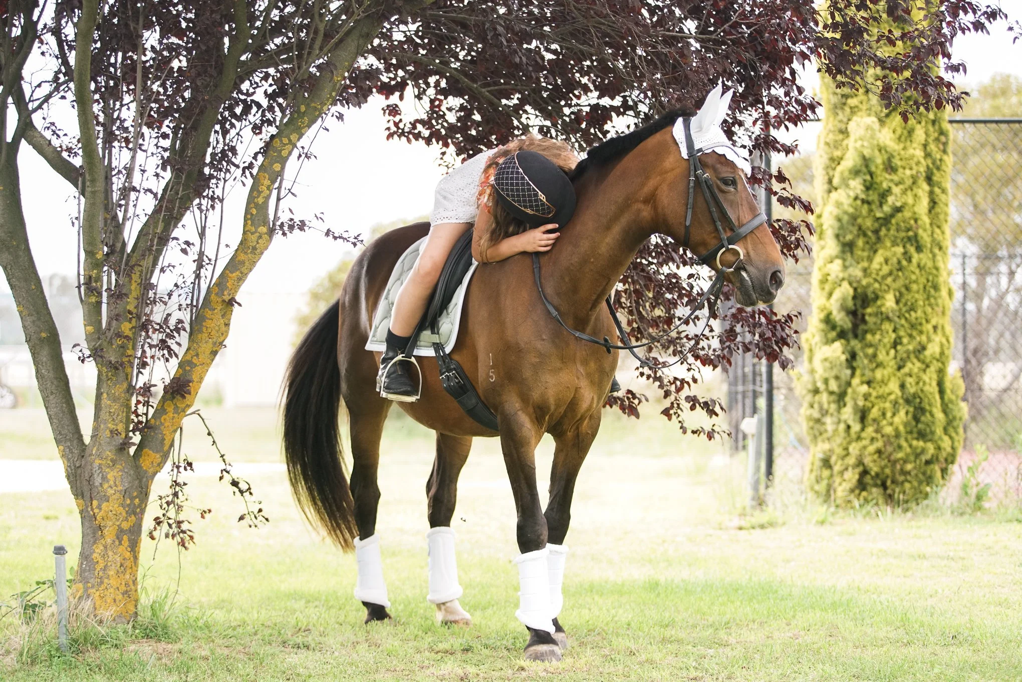 lhdequestrian-09126.JPG