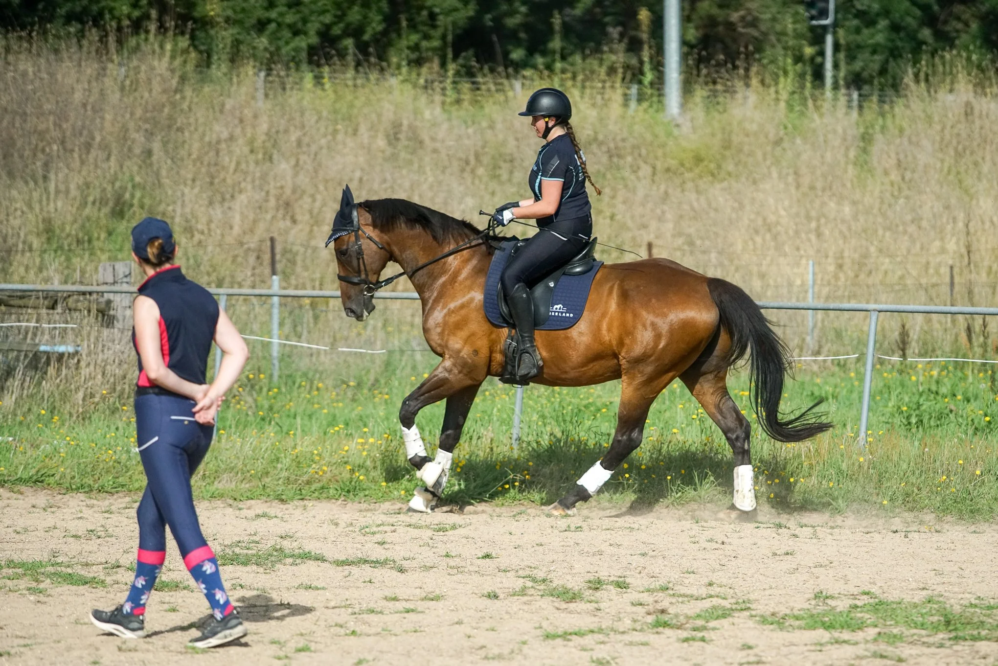 lhdequestrian-09877.JPG