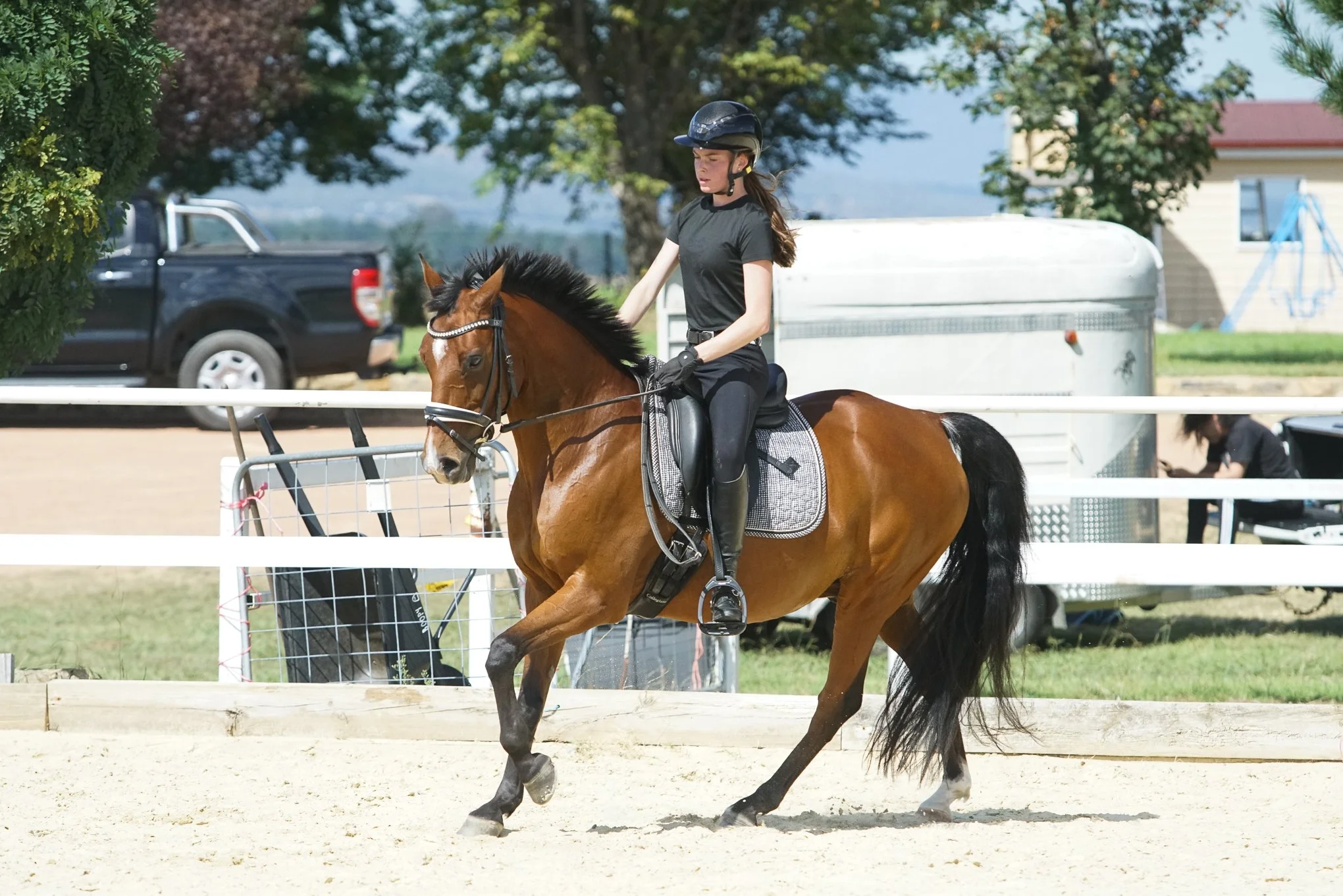 lhdequestrian-00699.JPG