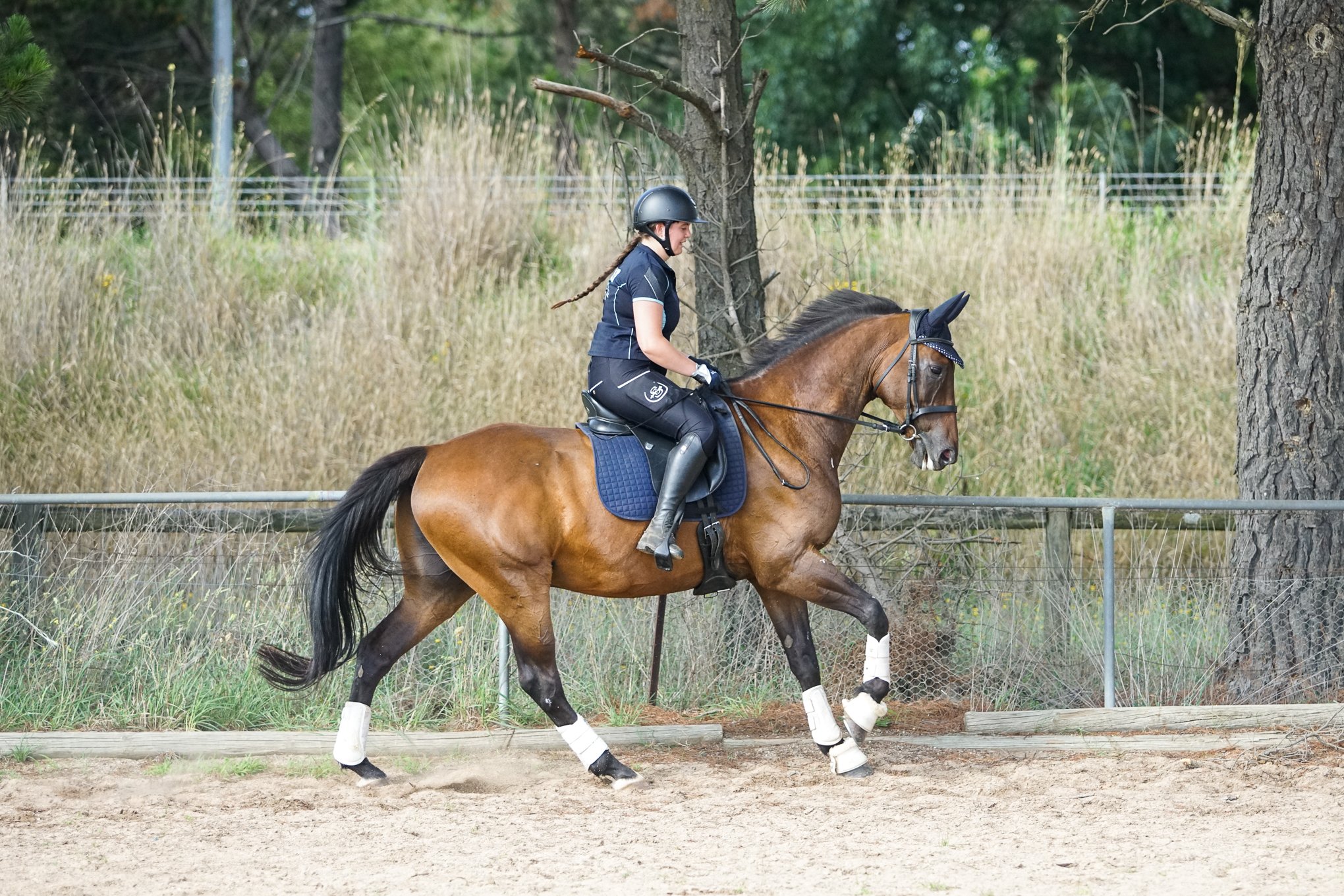 lhdequestrian-00092.JPG