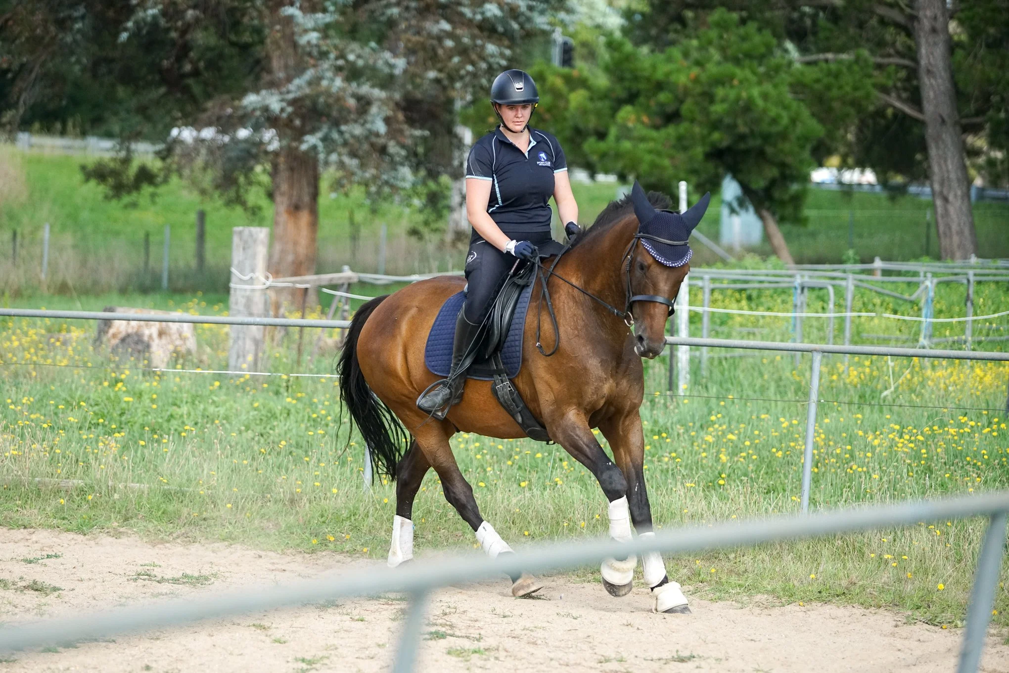 lhdequestrian-00079.JPG
