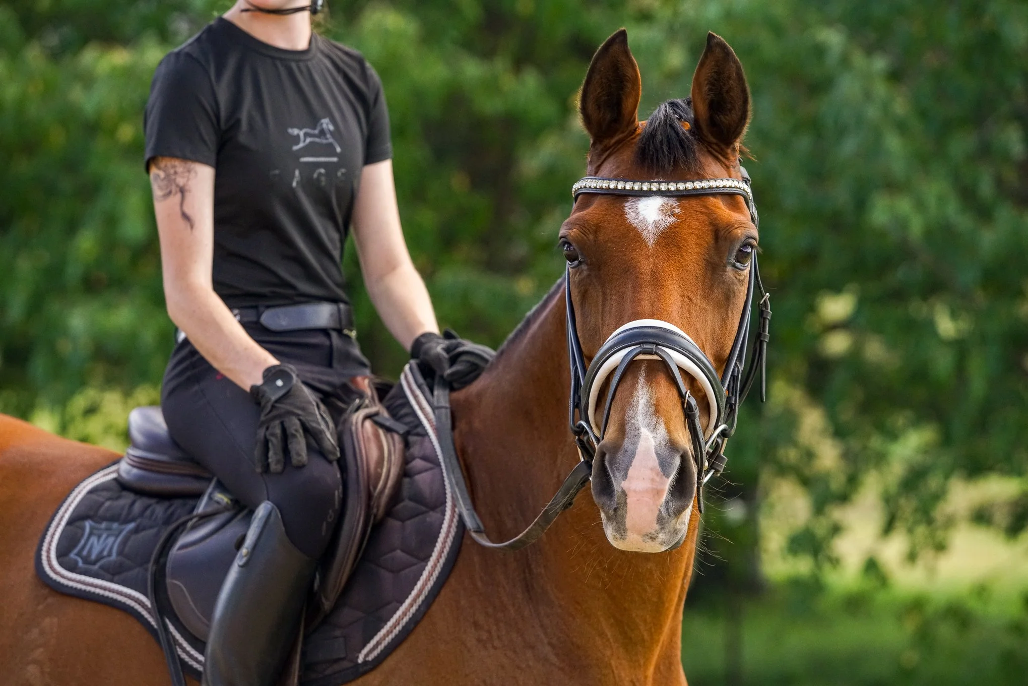lhdequestrian-01348.JPG