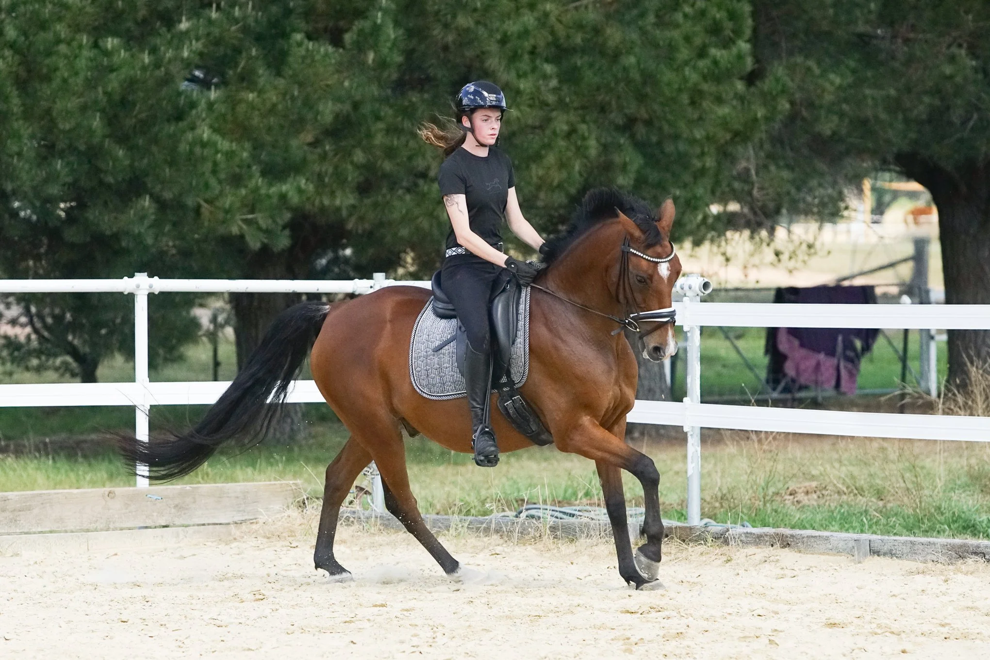 lhdequestrian-00767.JPG
