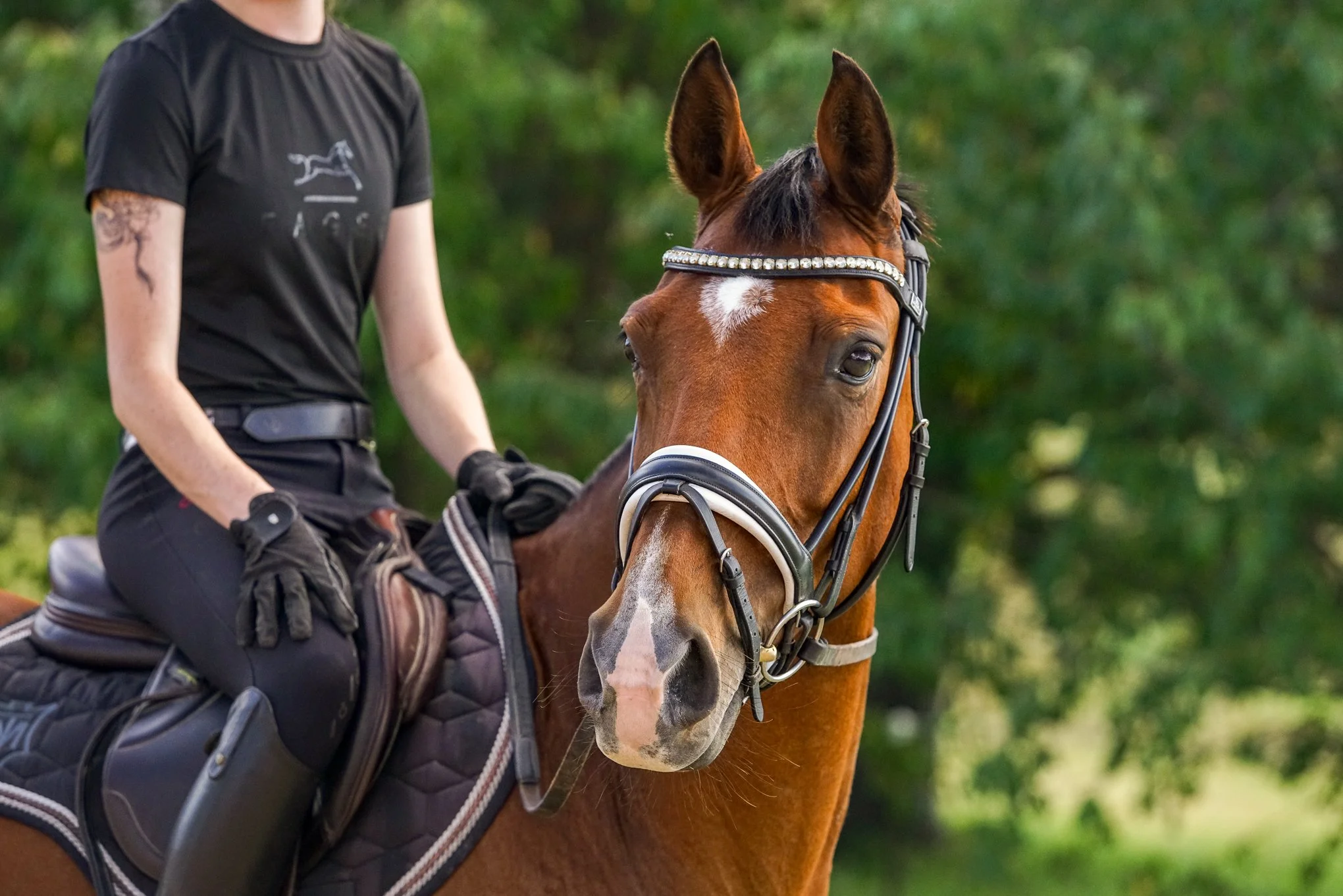 lhdequestrian-01346.JPG