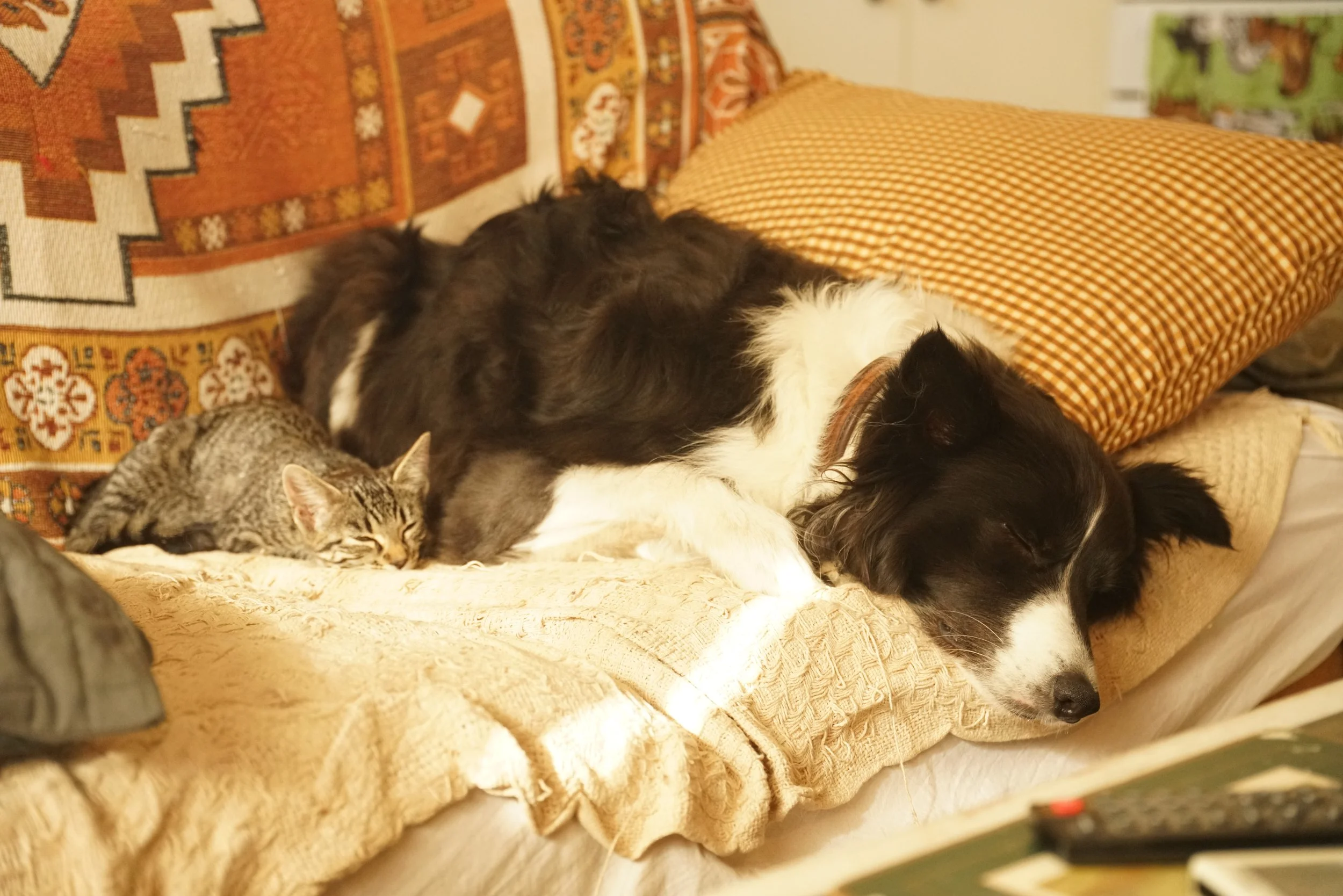DSC07152.JPG
