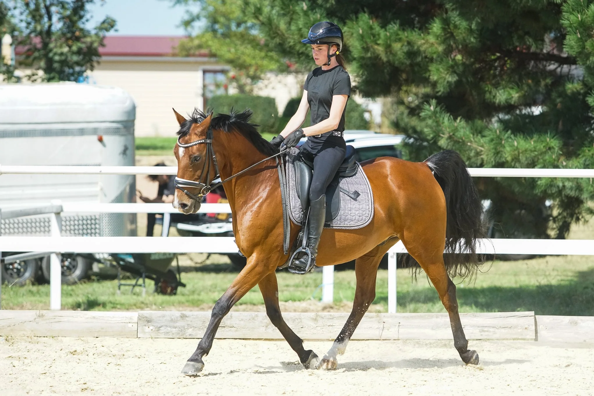 lhdequestrian-00358.JPG