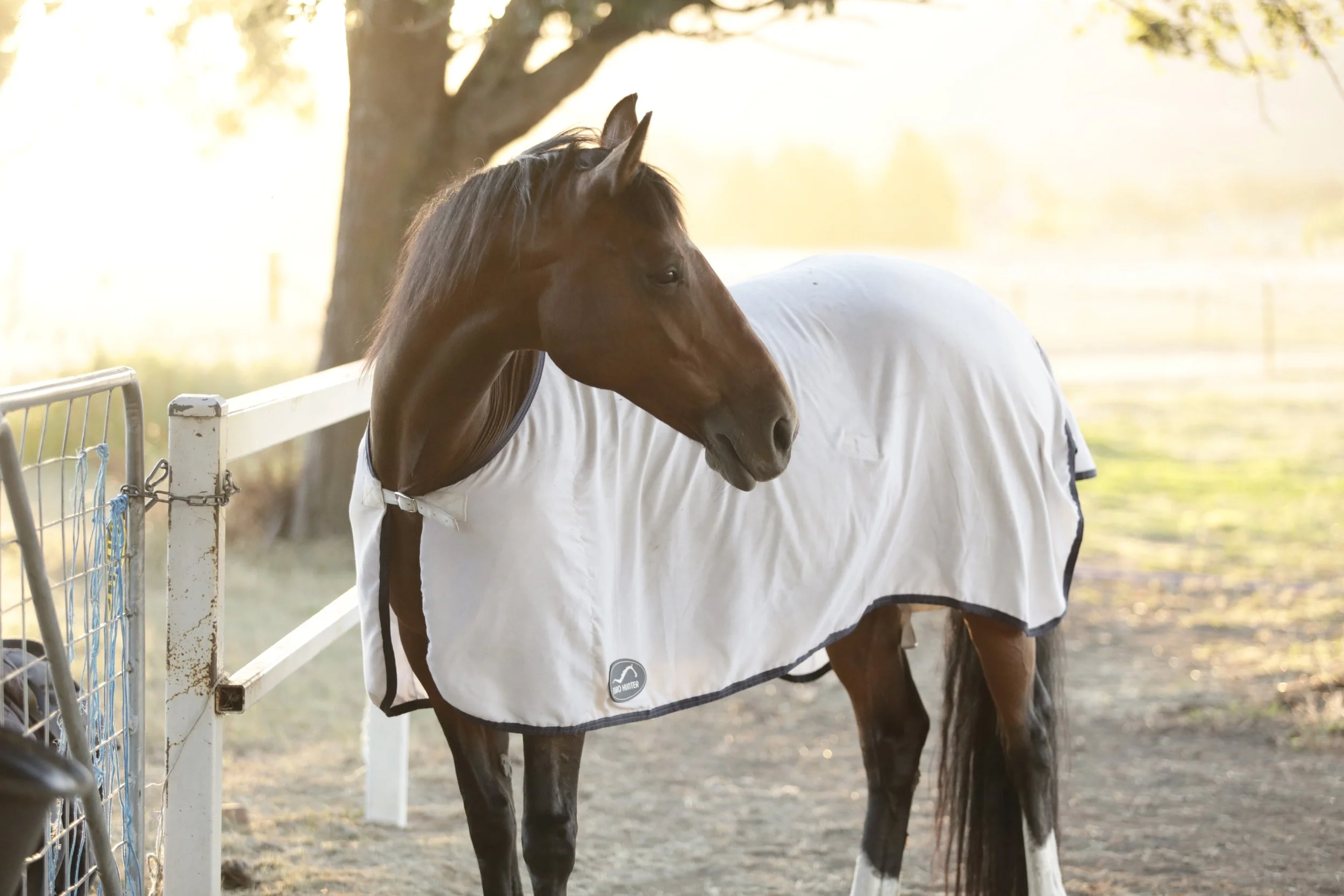 IMG_6639.jpg