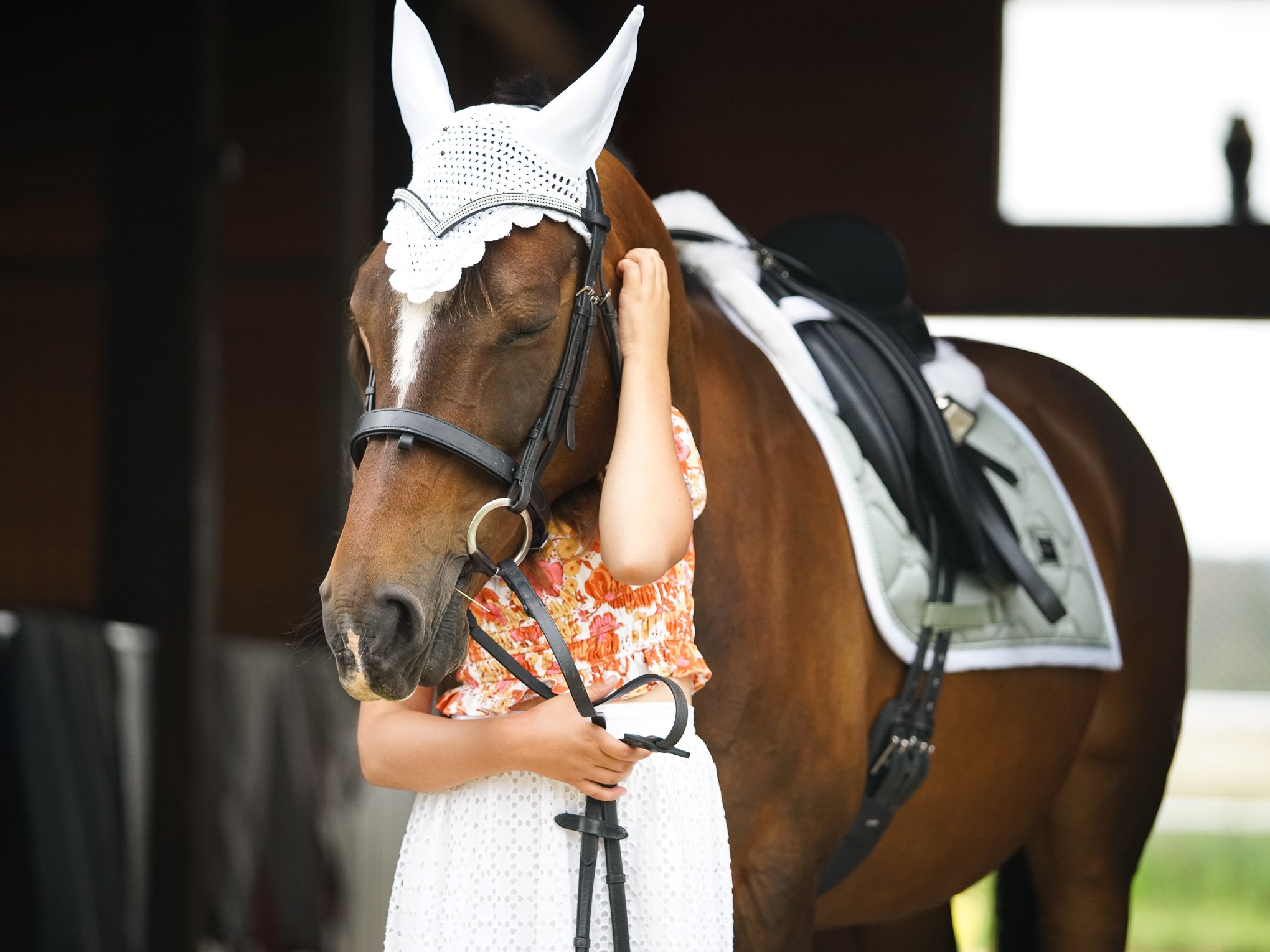lhdequestrian-08959.JPG