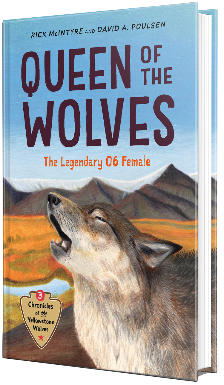 Book cover titled "Queen of the Wolves: The Legendary 06 Female" by Rick McIntyre and David A. Poulsen, featuring an illustrated howling wolf with a mountainous landscape in the background.