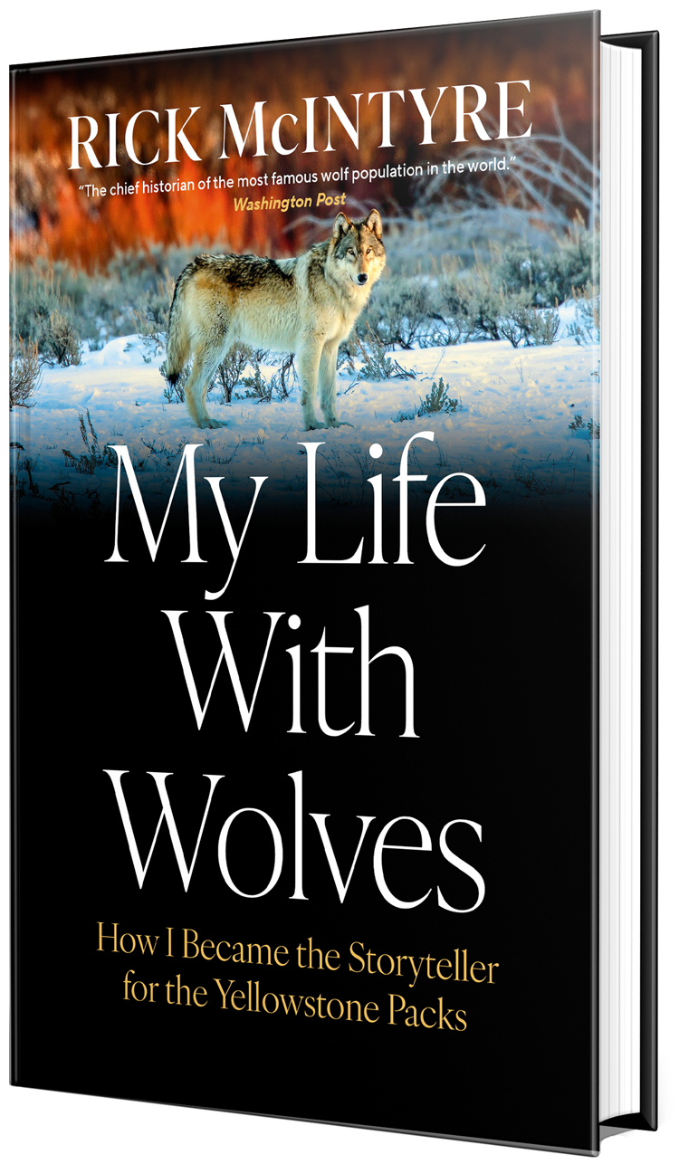 Book cover titled 'My Life With Wolves' by Rick Mcintyre, featuring a wolf standing in a snowy landscape with trees in the background.