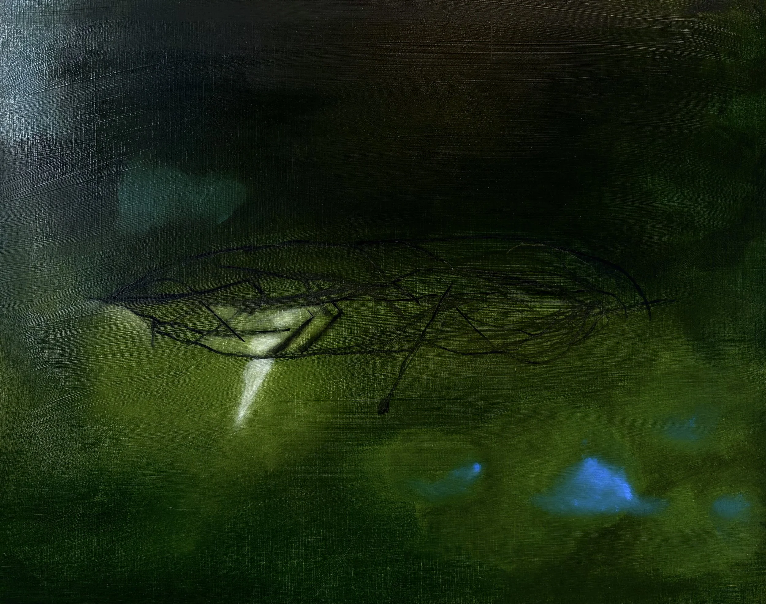 Cloud