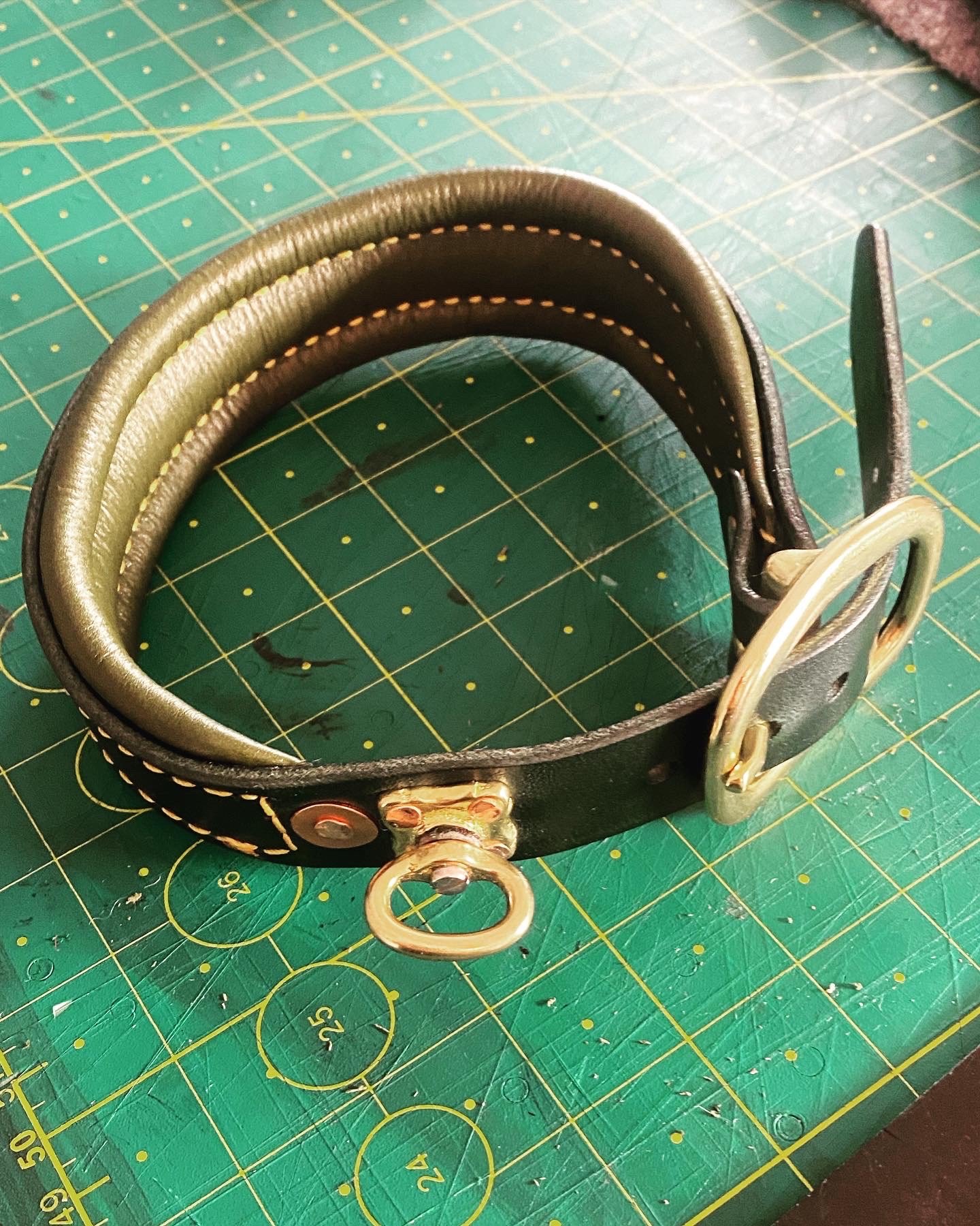 Spårhalsband för mindre hundar