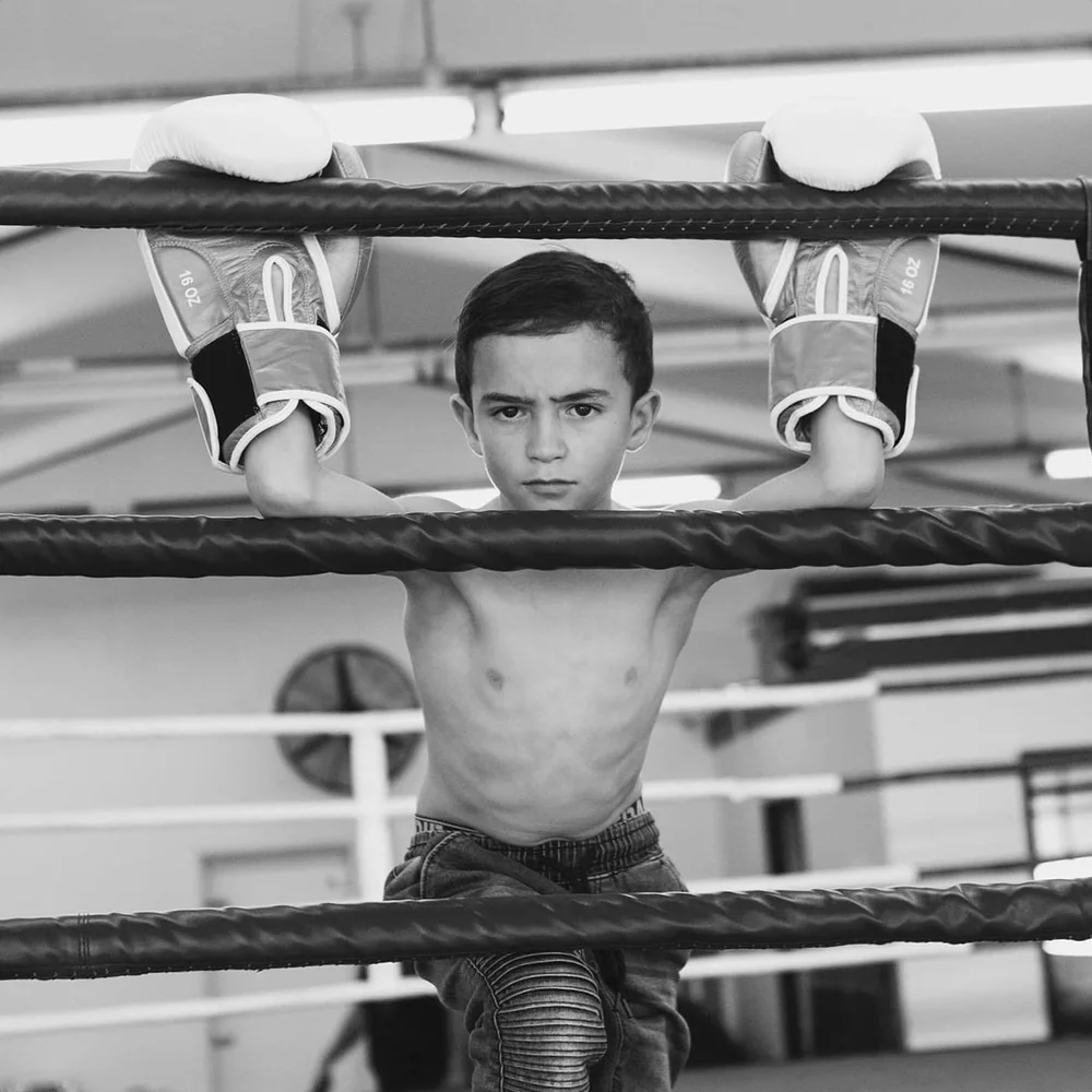 The Stable Boxing & Fitness