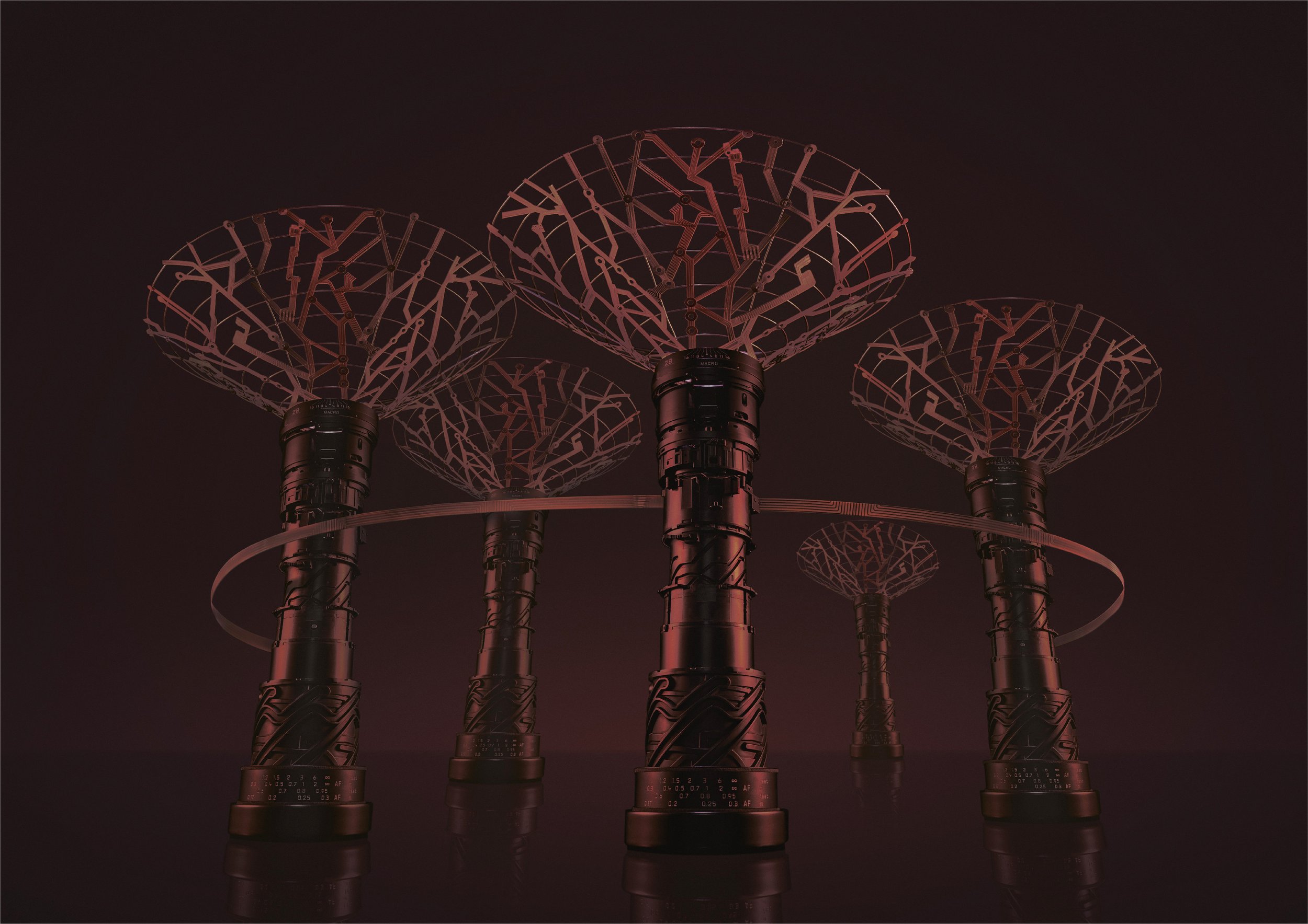 SuperTrees.jpg