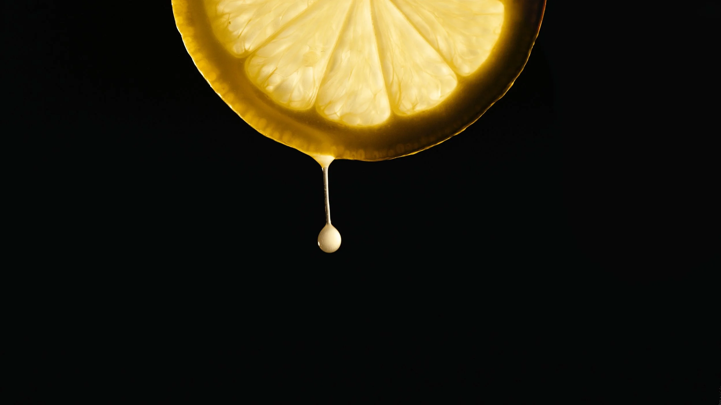 Still 2026-02-18 162213_1.59.1.jpg