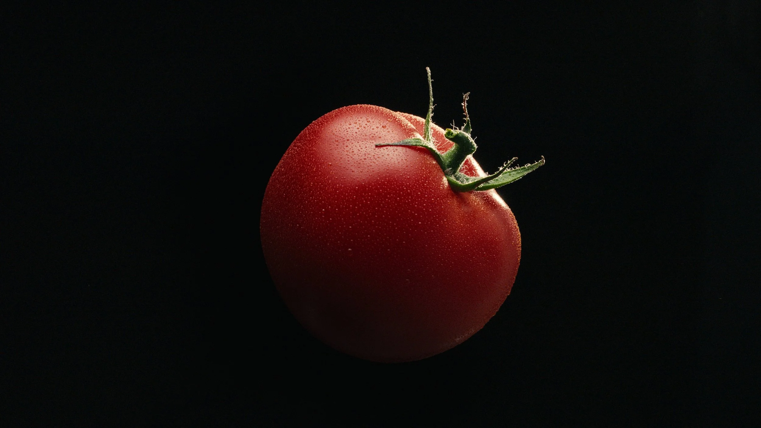 Still 2026-02-18 162213_1.40.1.jpg