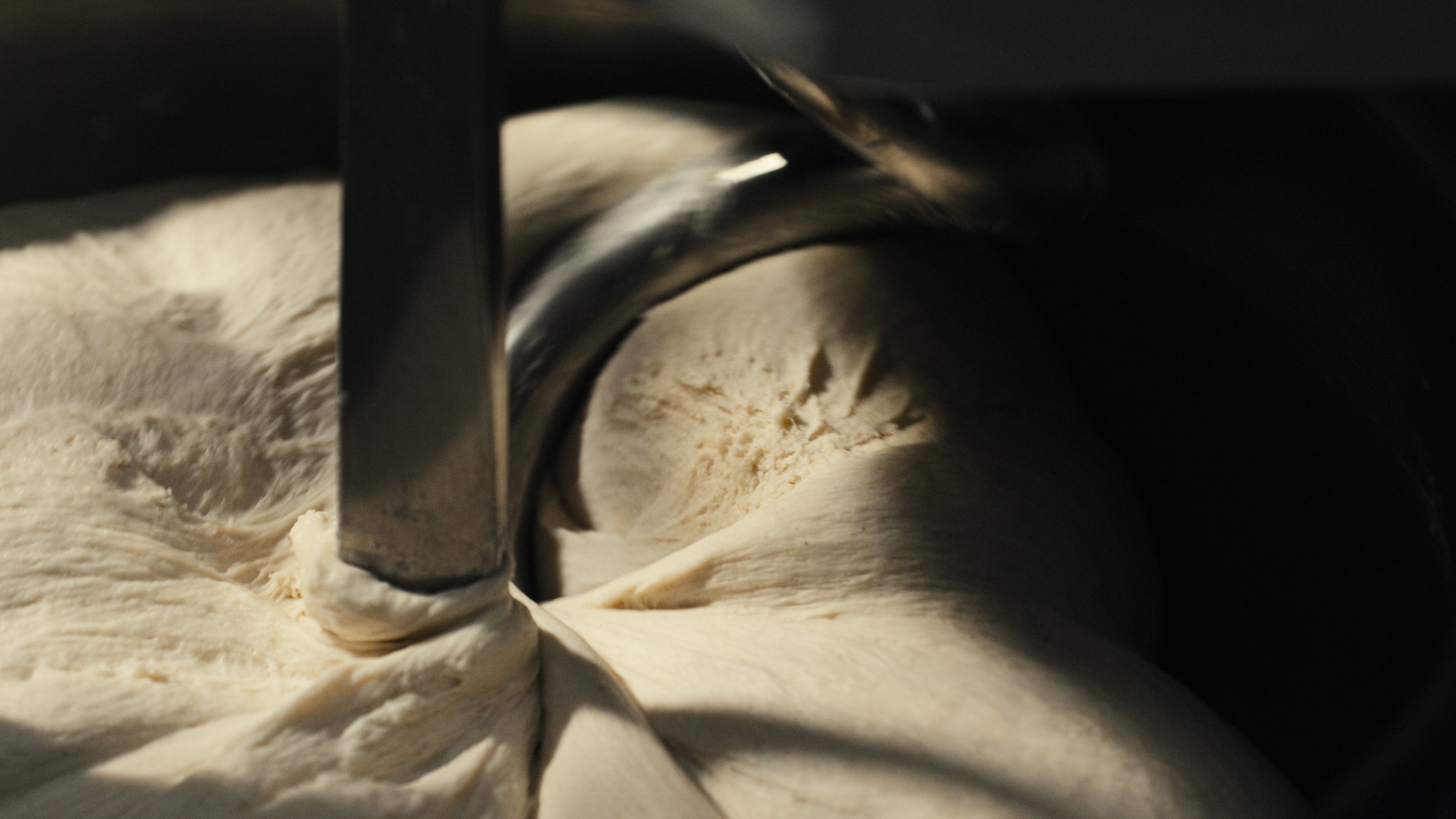 Still 2026-02-18 162723_1.34.1.jpg