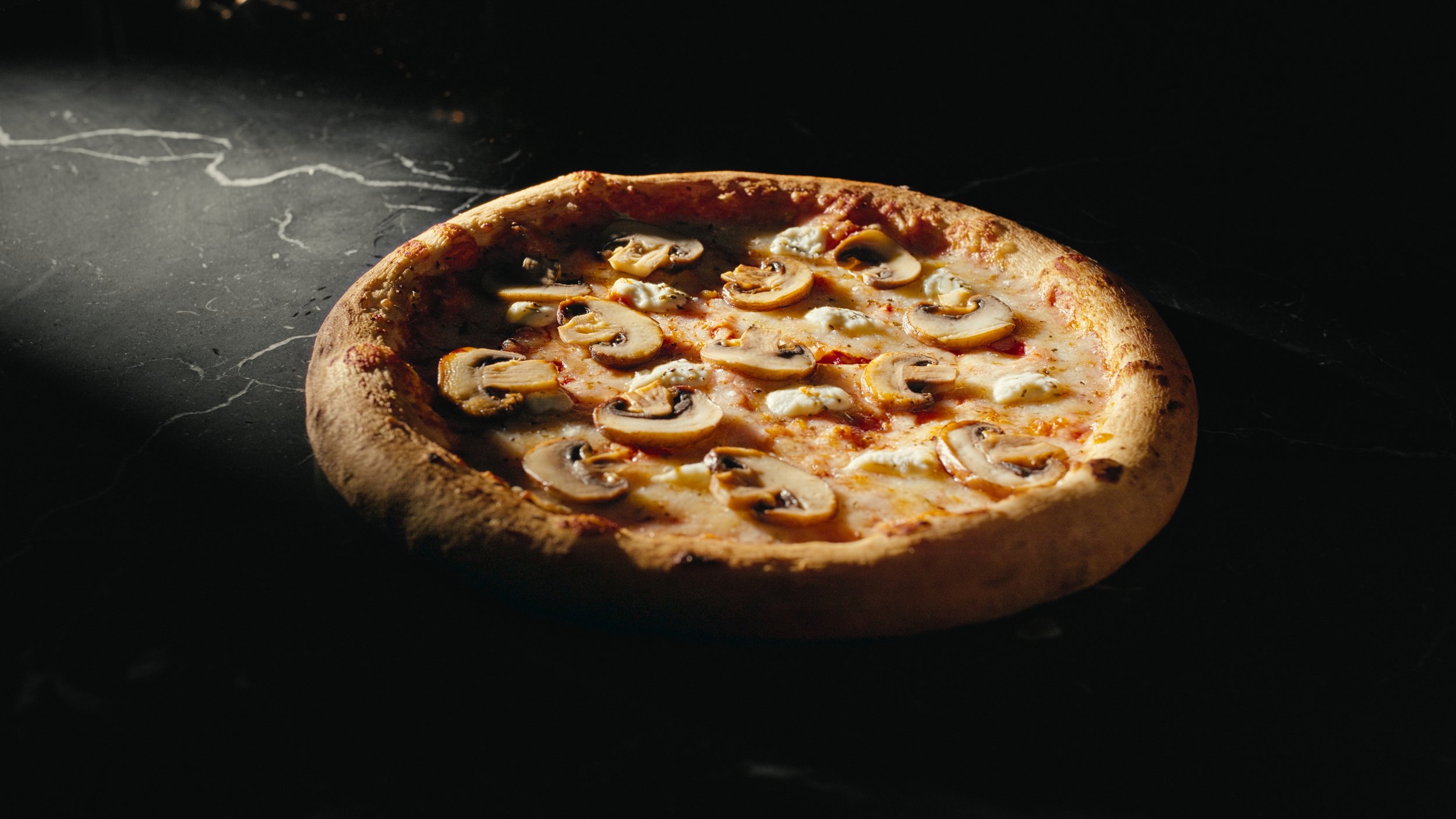 Still 2026-02-18 162213_1.62.1.jpg