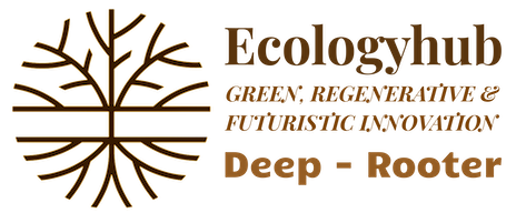 Ecologyhub Ebre. A Solarpunk Accelerator for Green Innovation, Regenerative &amp; Futuristic Entrepreneurship