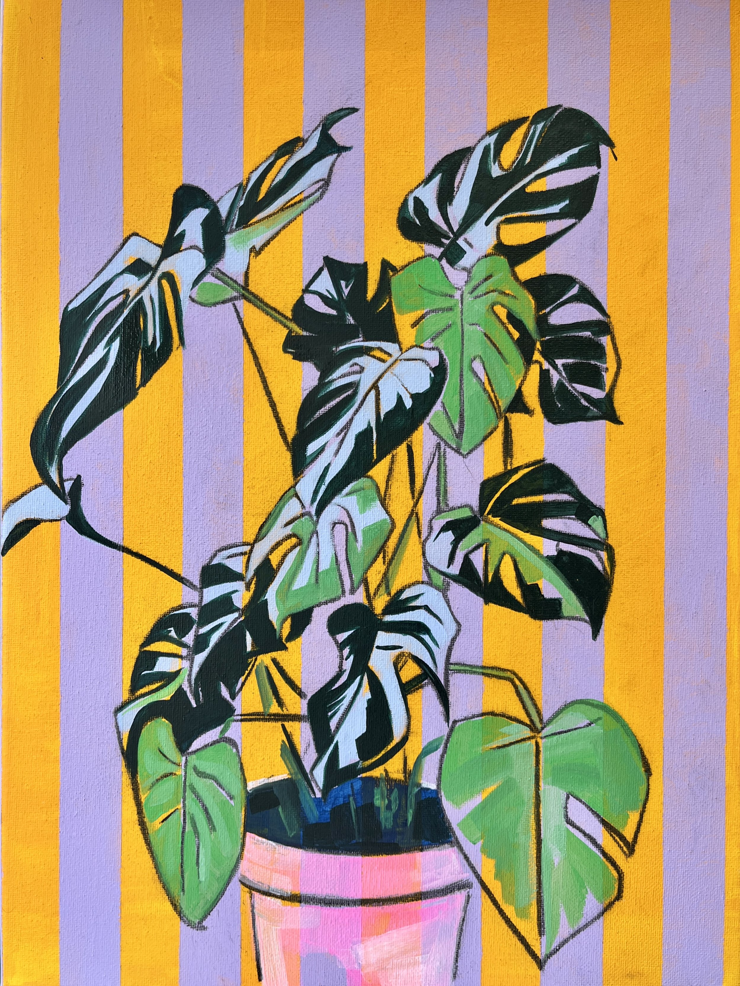 'Say Cheese' 15/9/25