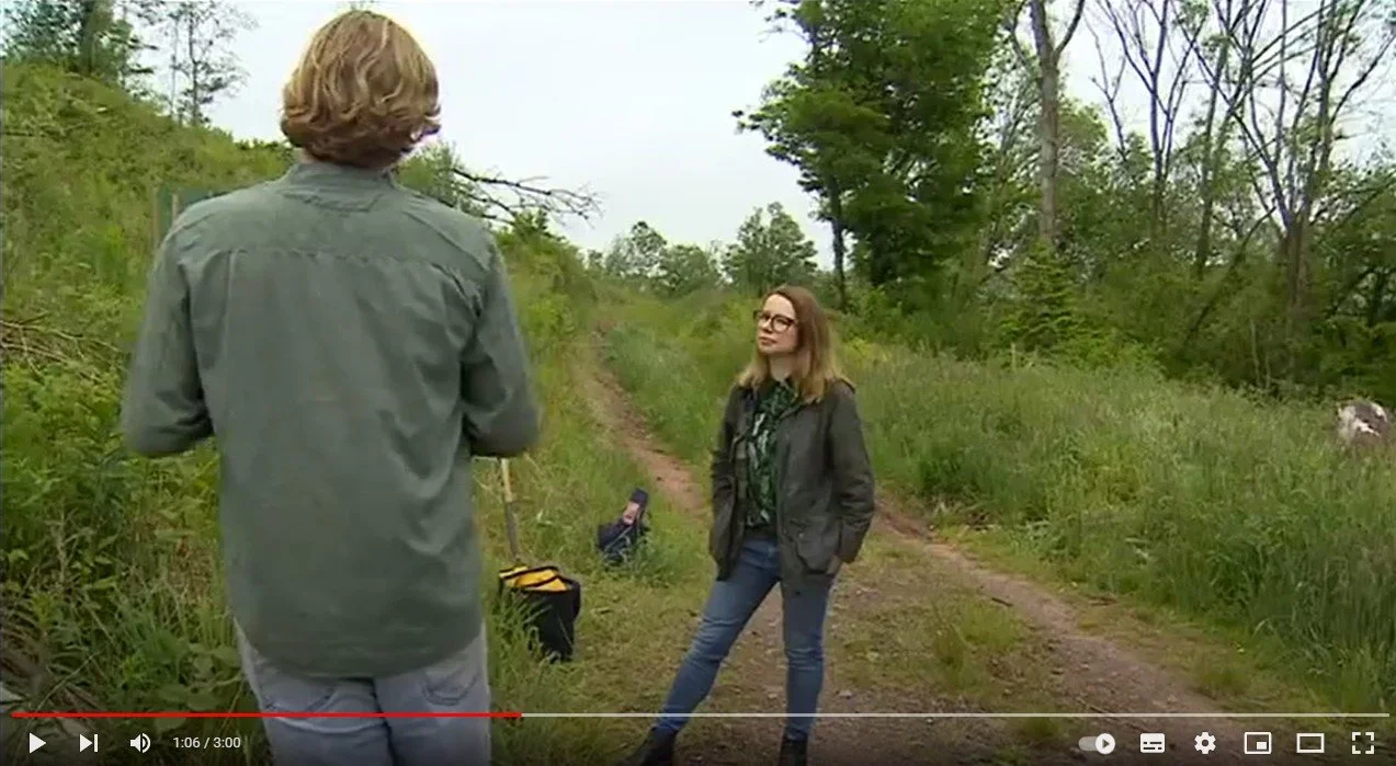 BBC comes to The Great Reserve