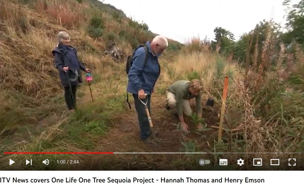 ITV reports on The Great Reserve