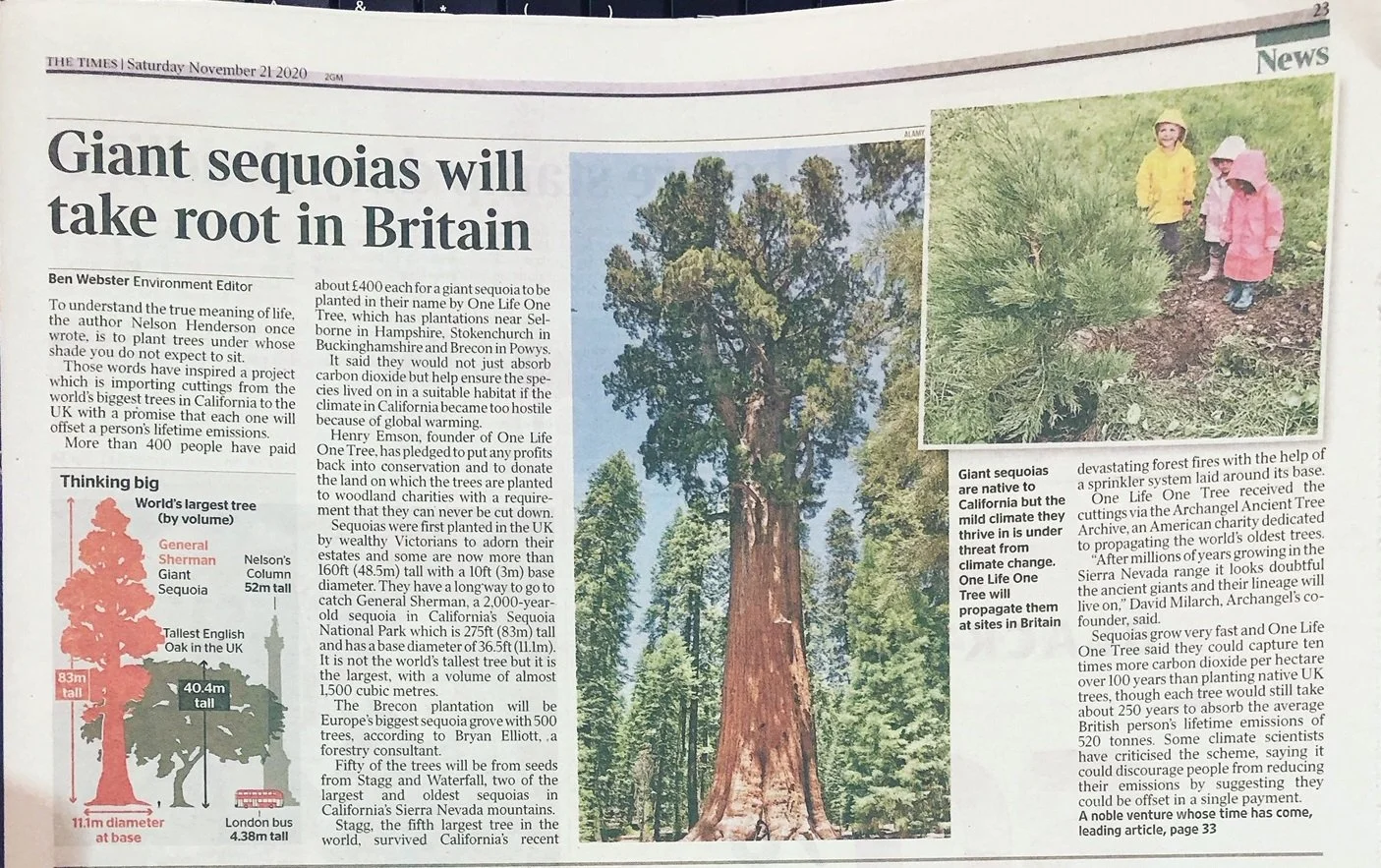 The Times - Giant Sequoias to take root in Britain