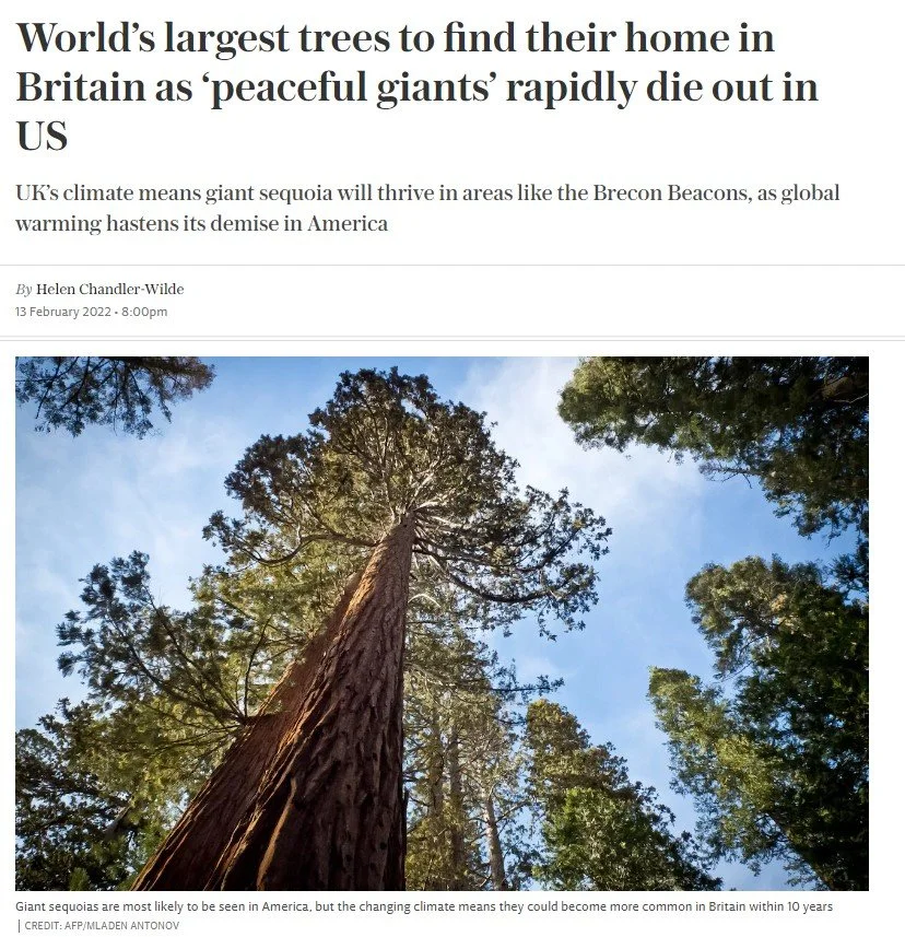 The Telegraph reports on The Great Reserve