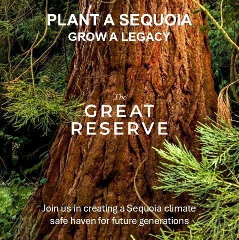 Product Sequoia Image.jpg
