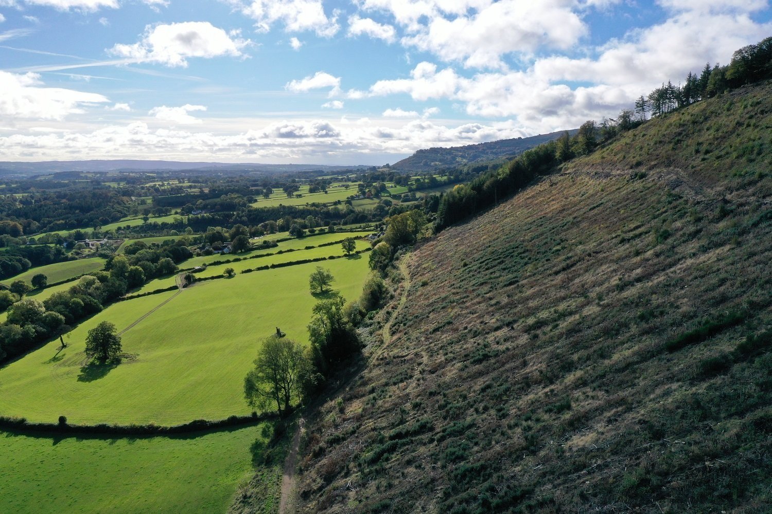DJI_0546+opt.jpg