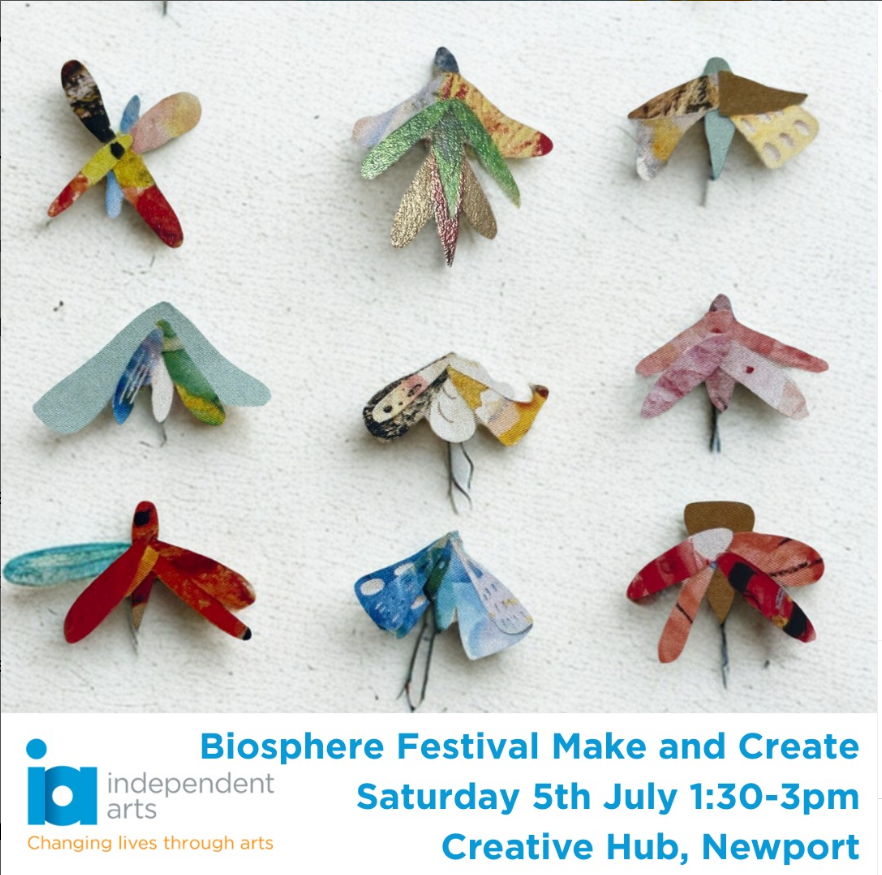 Independent Arts - Make and Create for the Biosphere Festival Drop-in