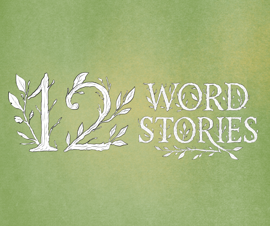 Quay Arts Centre Family Story Writing Workshop