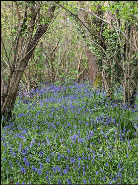 An evening with the Wight Nature Fund